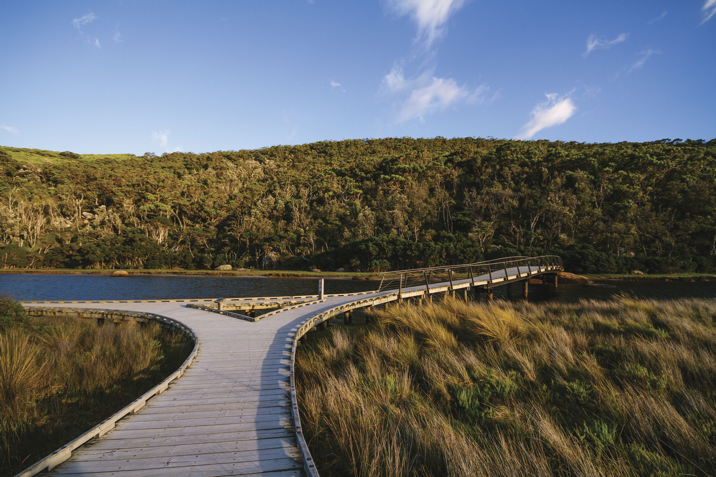 Wilsons Promontory National Park Tour from Melbourne