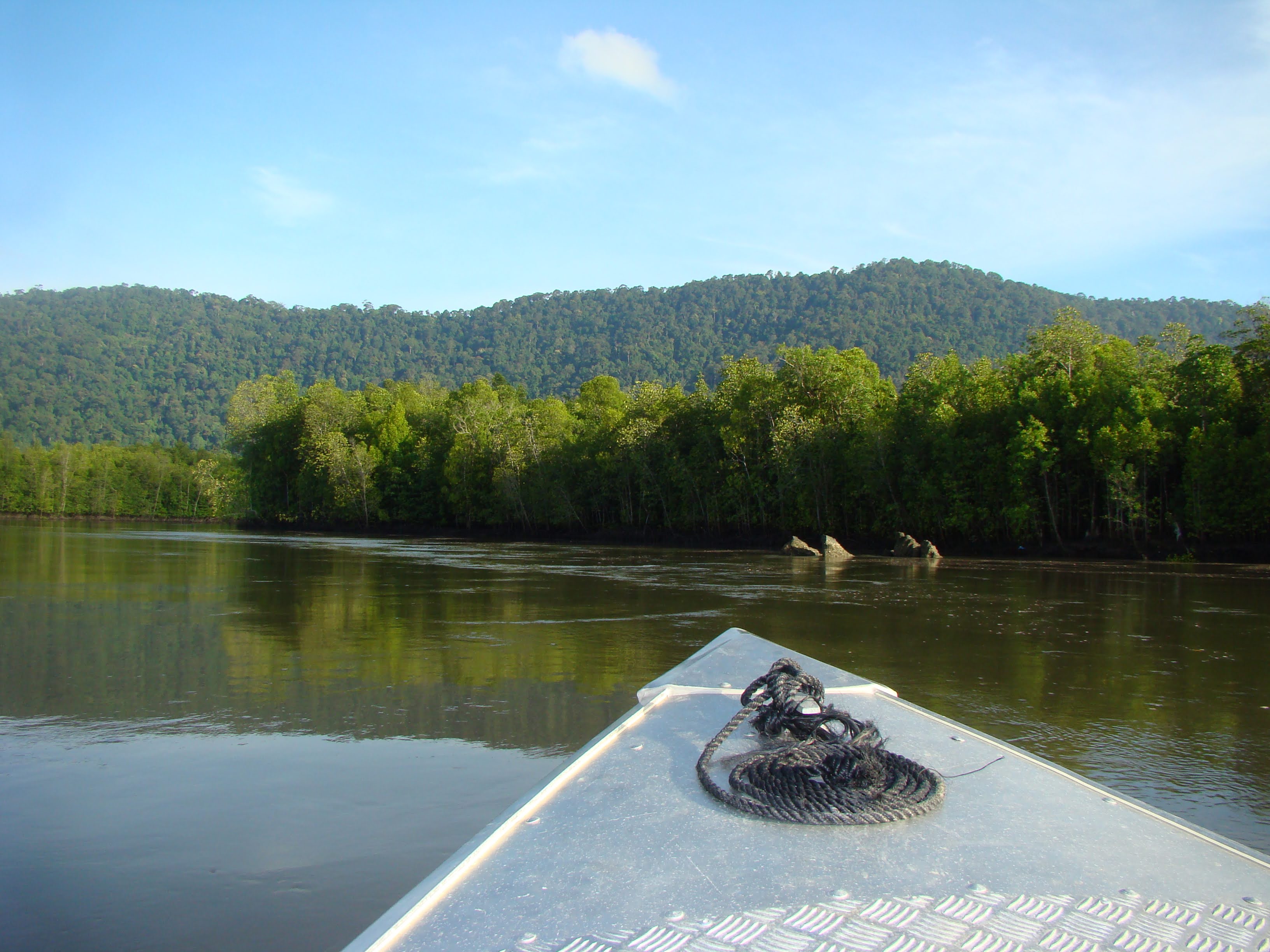 Langkawi Mangrove River Cruise and Snorkeling