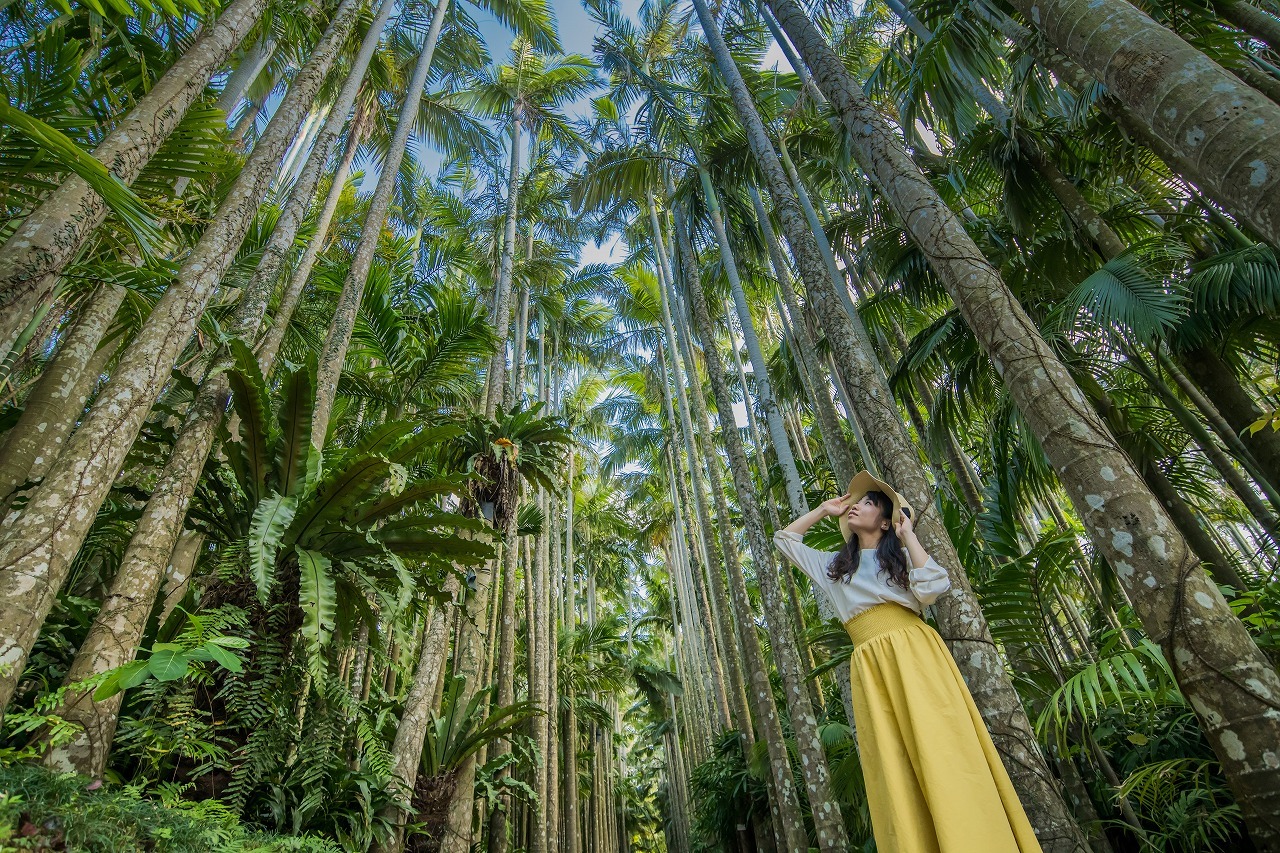 Okinawa Southeast Botanical Gardens