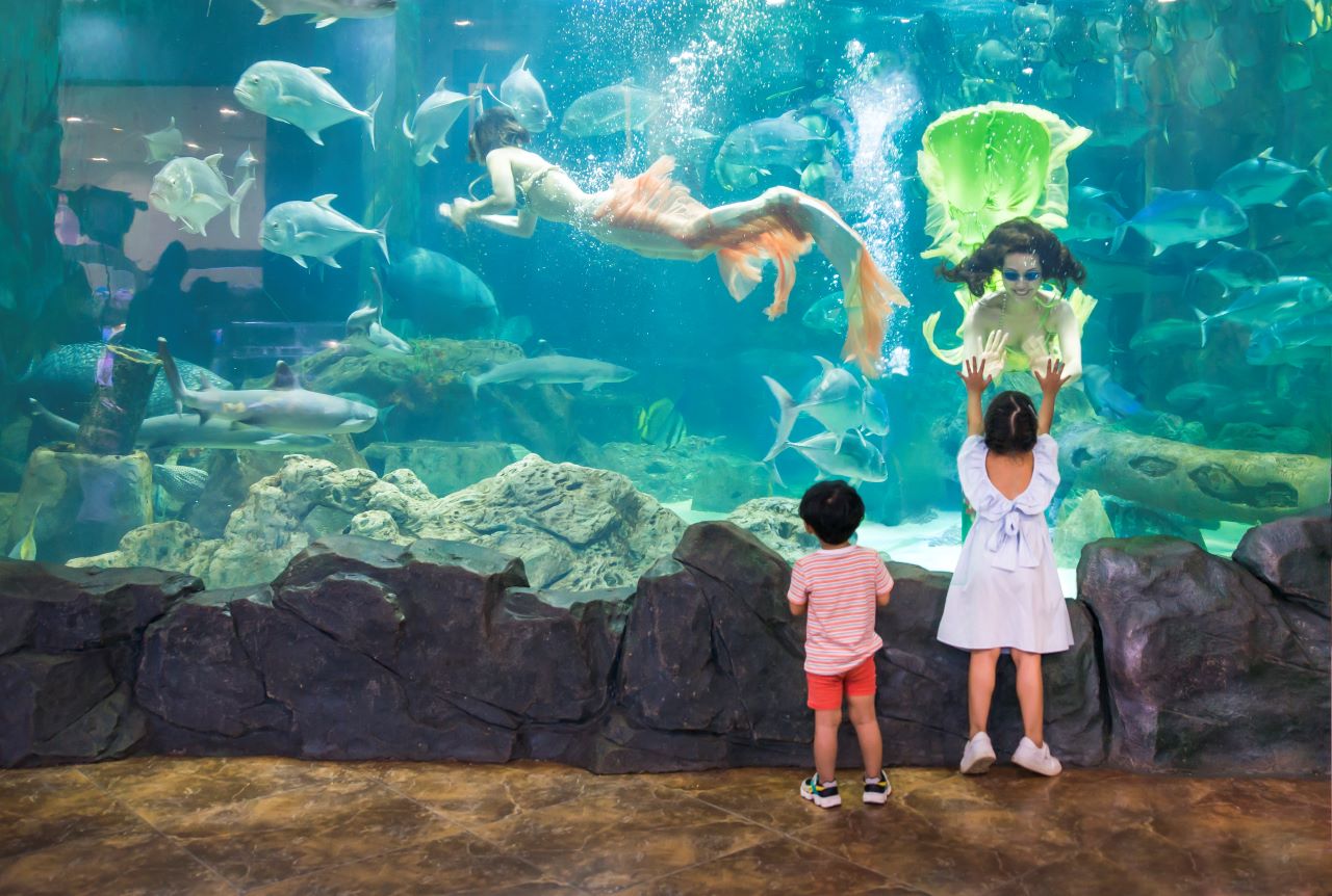 Vinpearl Aquarium Times City Hanoi Ticket
