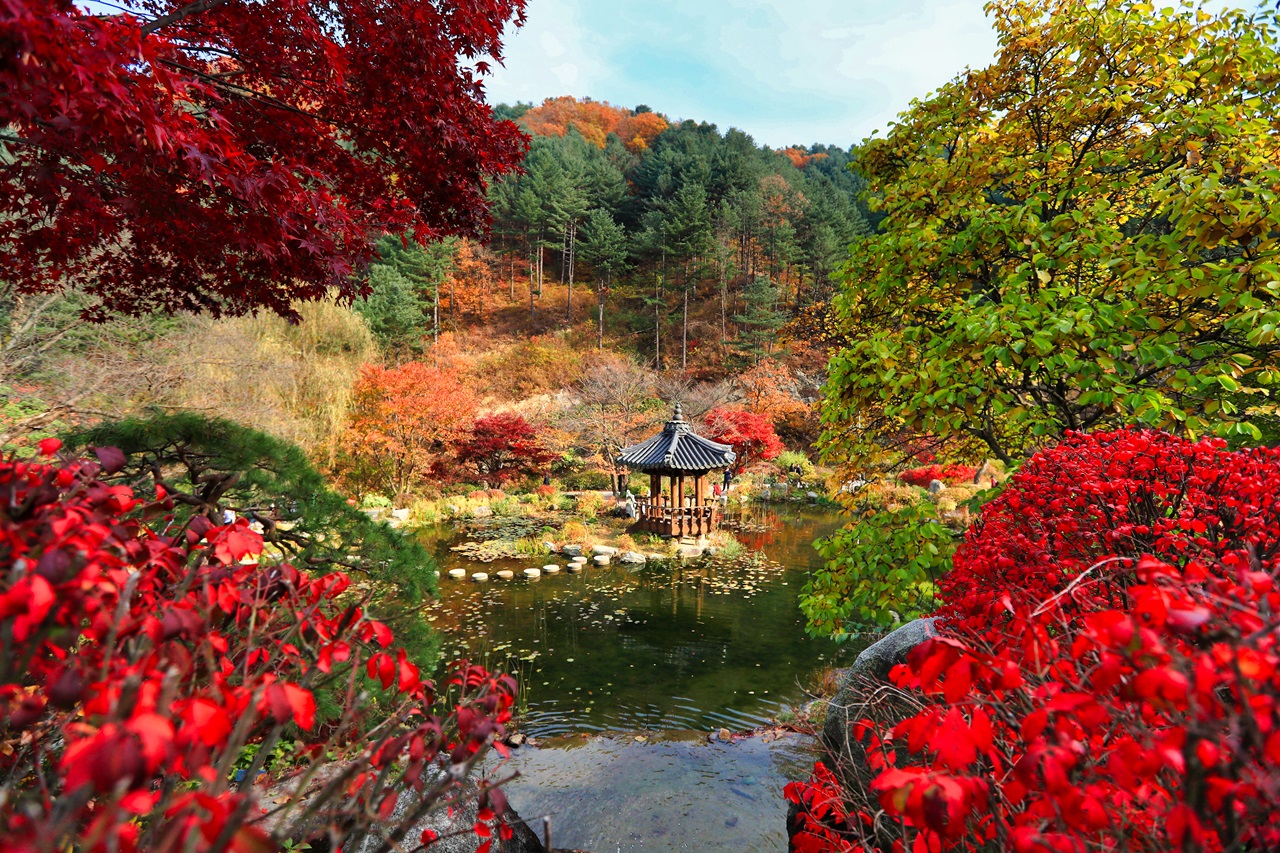 Nami Island, Mount Seorak, and Garden of Morning Calm Full-Day Tour from Seoul