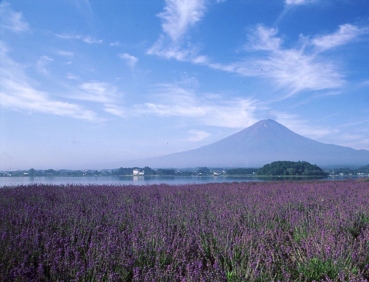 Fuji Hakone Pass