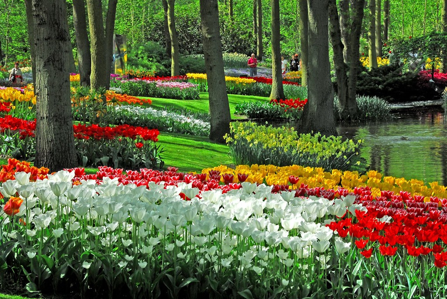 Keukenhof Gardens Ticket with Round Trip Bus Transfer from Amsterdam