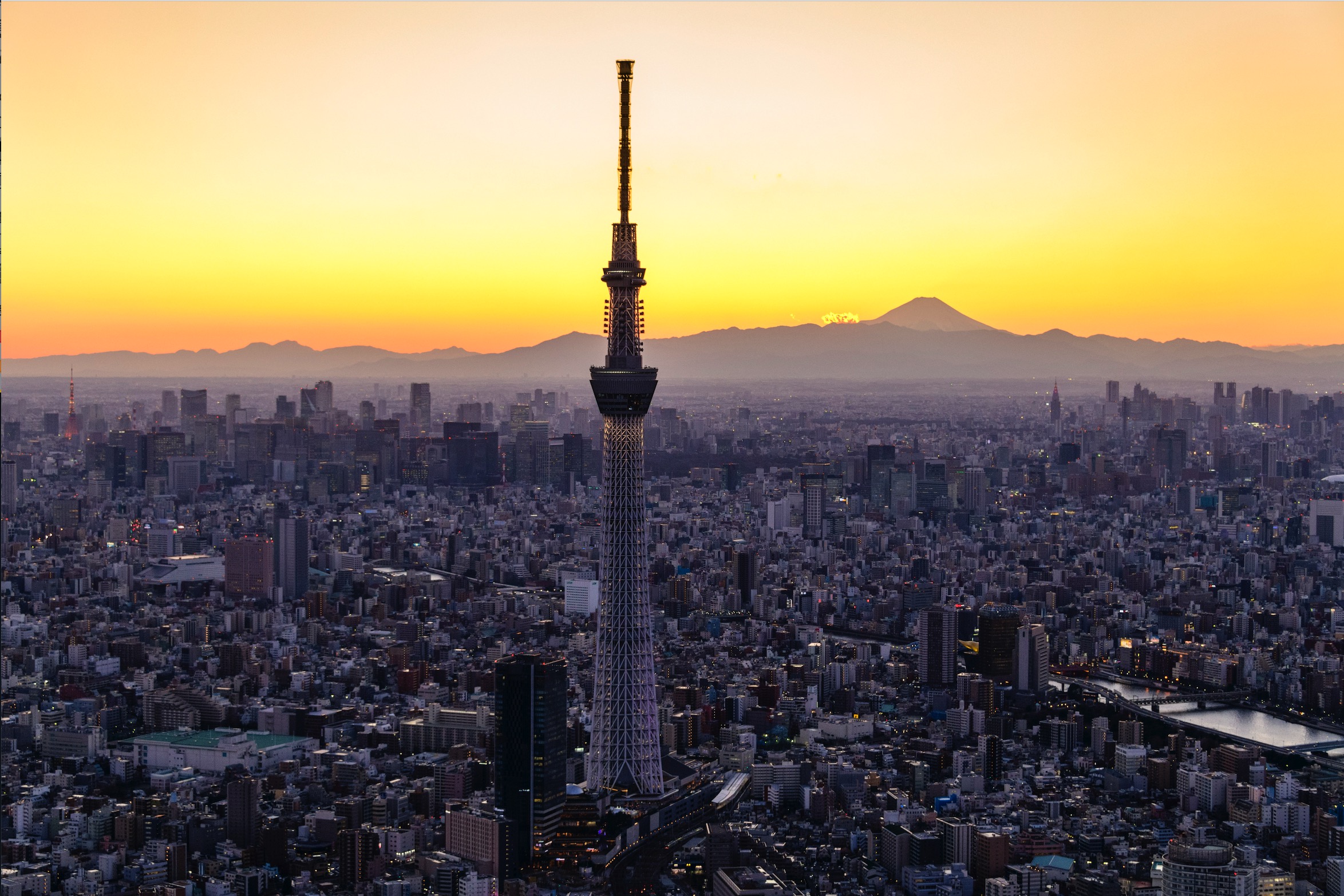 COMBO: Tokyo Skytree + Sumida Aquarium