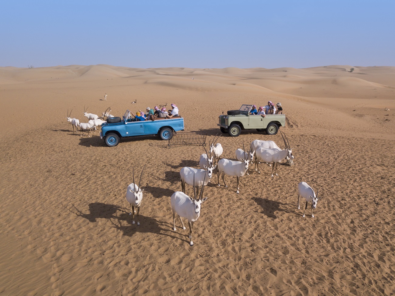 Heritage Dubai Desert Safari
