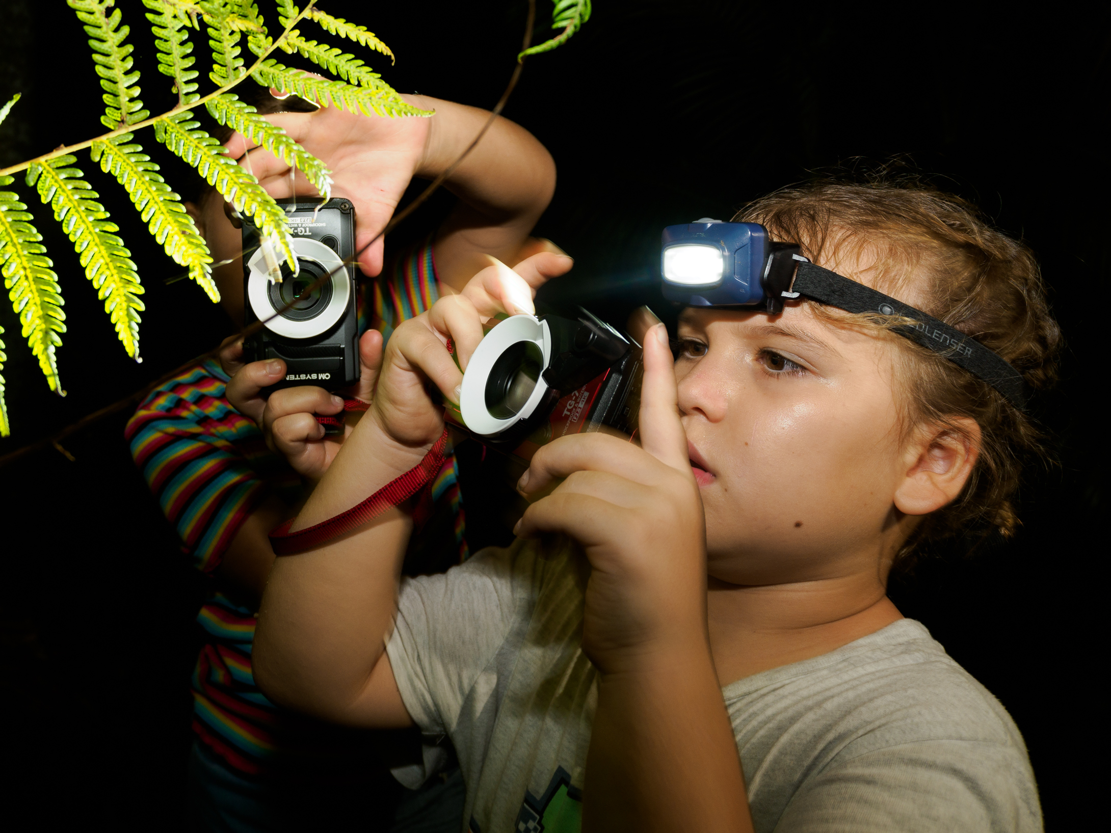Cairns Botanic Gardens Night Walk Experience