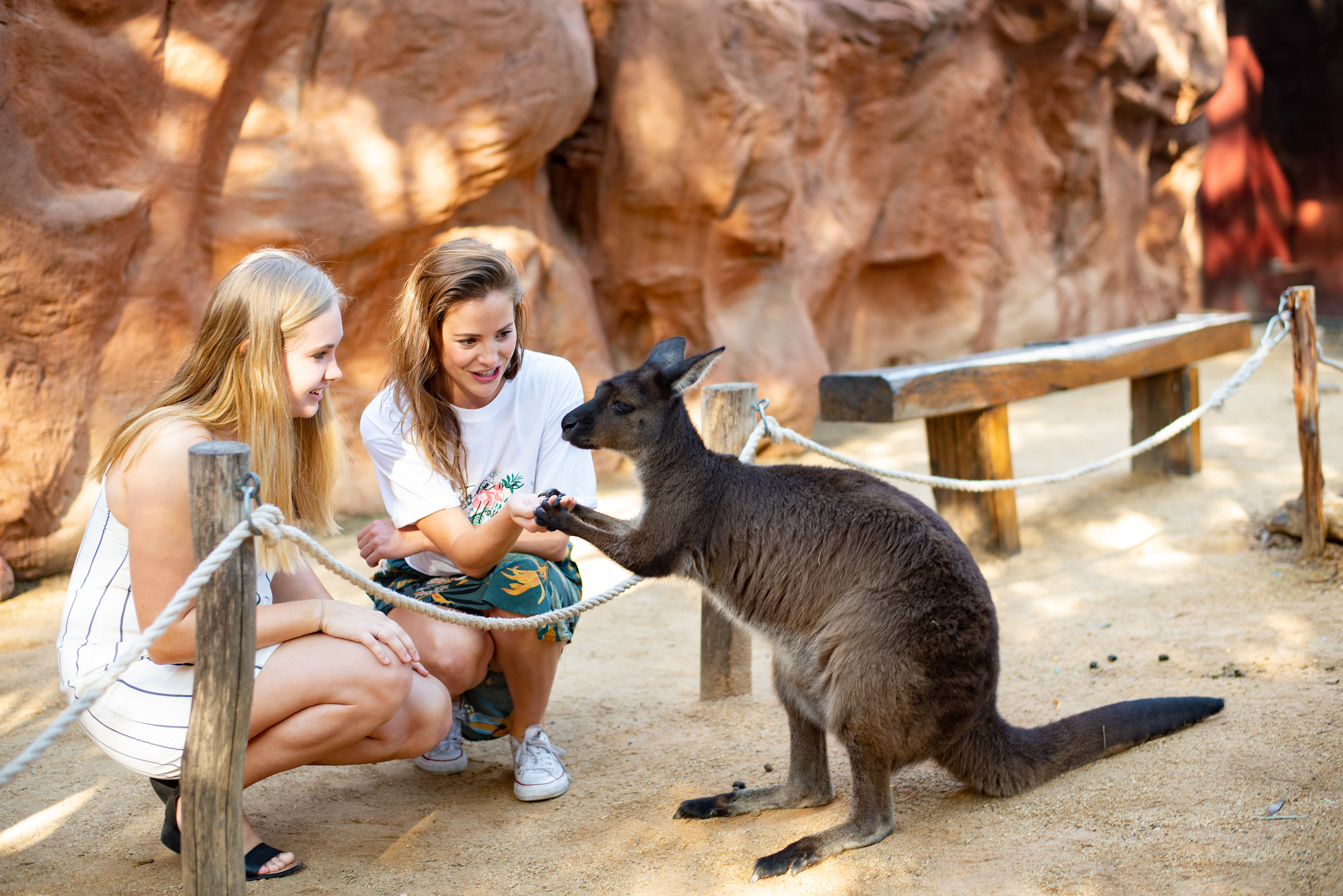 WILD LIFE Sydney Zoo Direct Entry Ticket