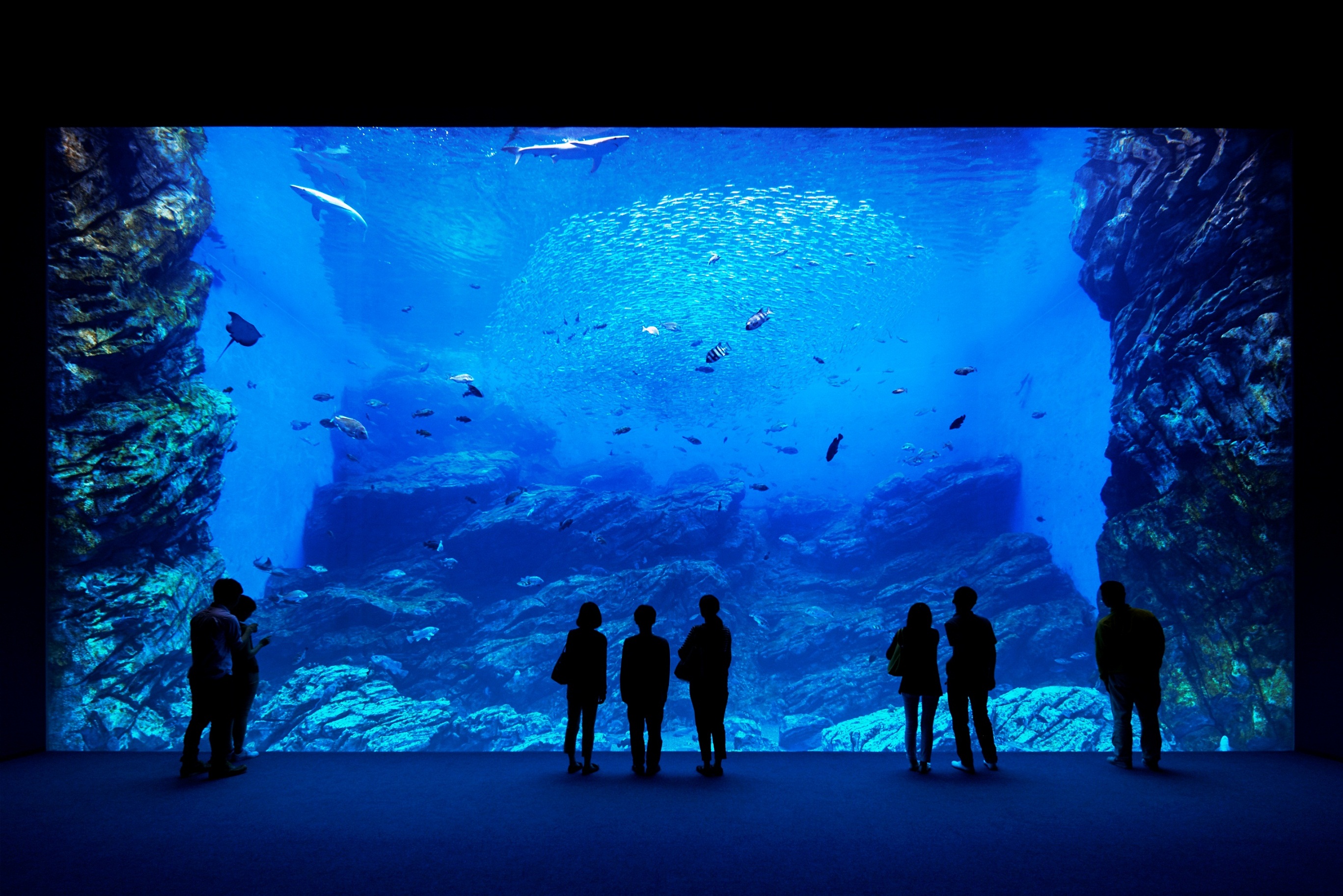 Sendai Umino-Mori Aquarium Ticket