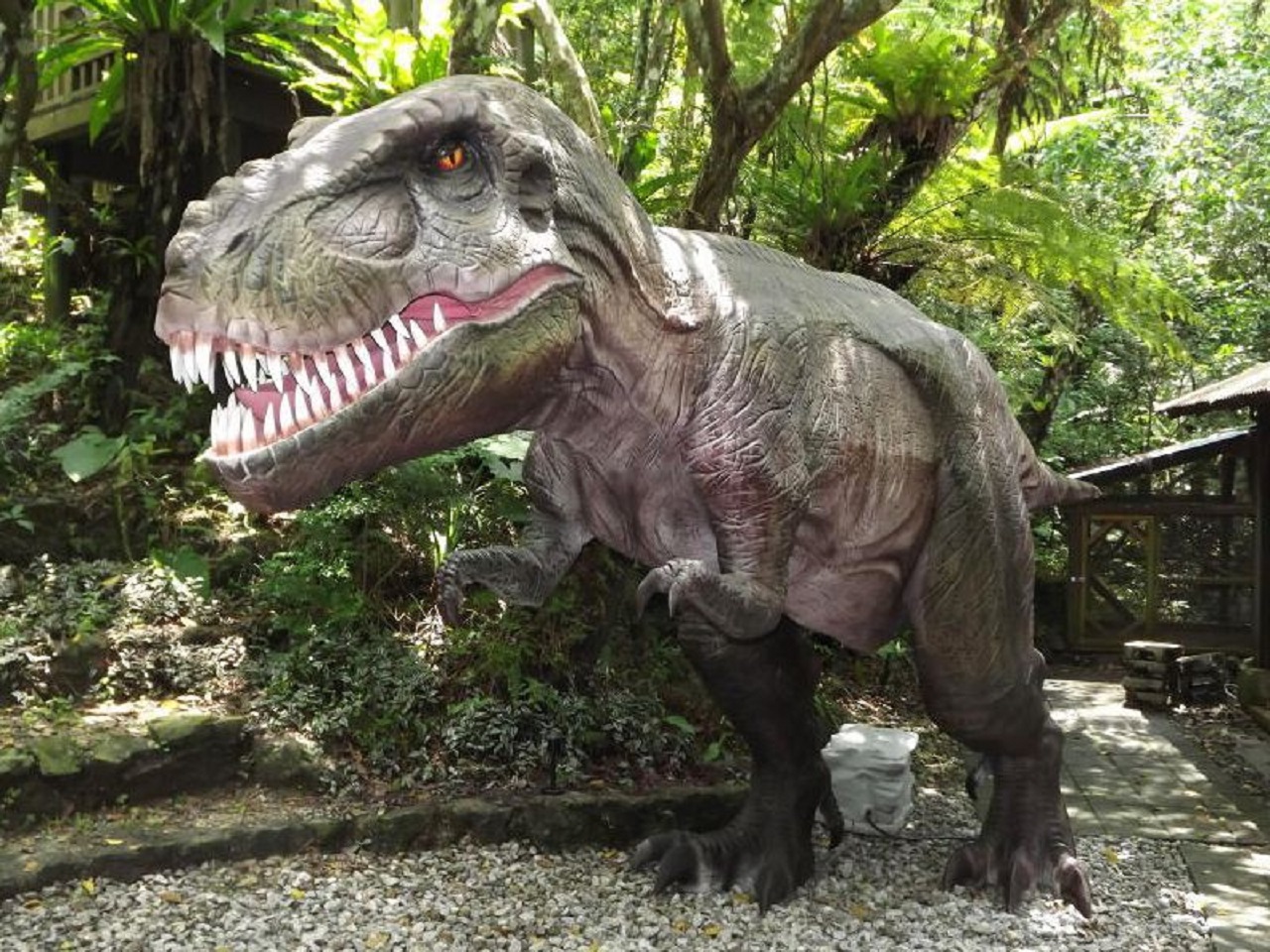 Okinawa Dino Park Yanbaru Subtropical Forest Ticket