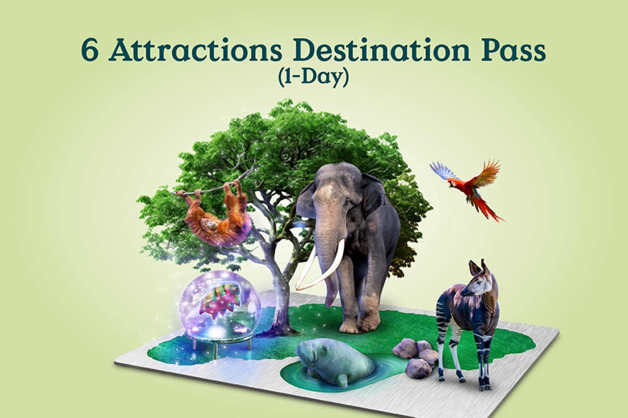 Mandai Destination Pass: Visit Up to 6 Attractions in 1 or 5 Days