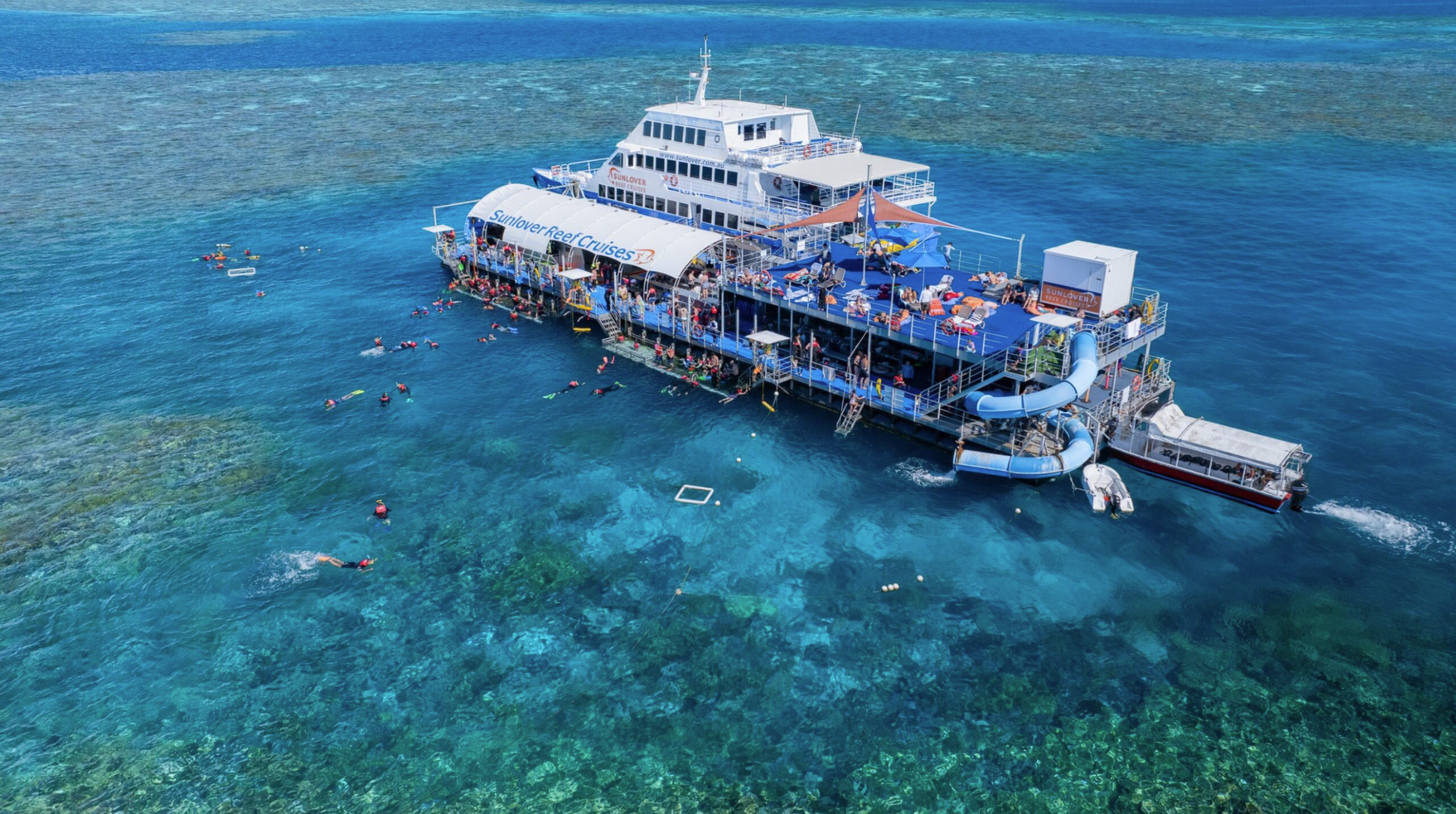 Great Barrier Reef Pontoon Full-Day Tour at Moore Reef