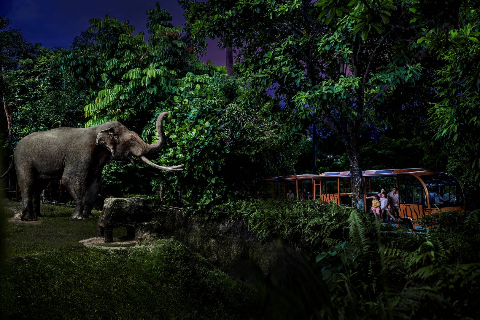 Singapore Night Safari Ticket