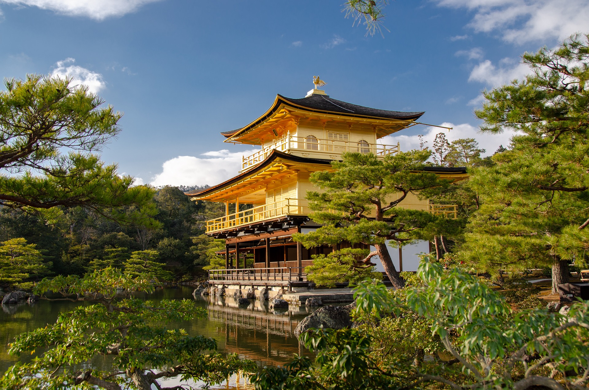 Kyoto Half-Day Temple Tour: Kinkaku-ji, Ginkaku-ji, Kiyomizu-dera