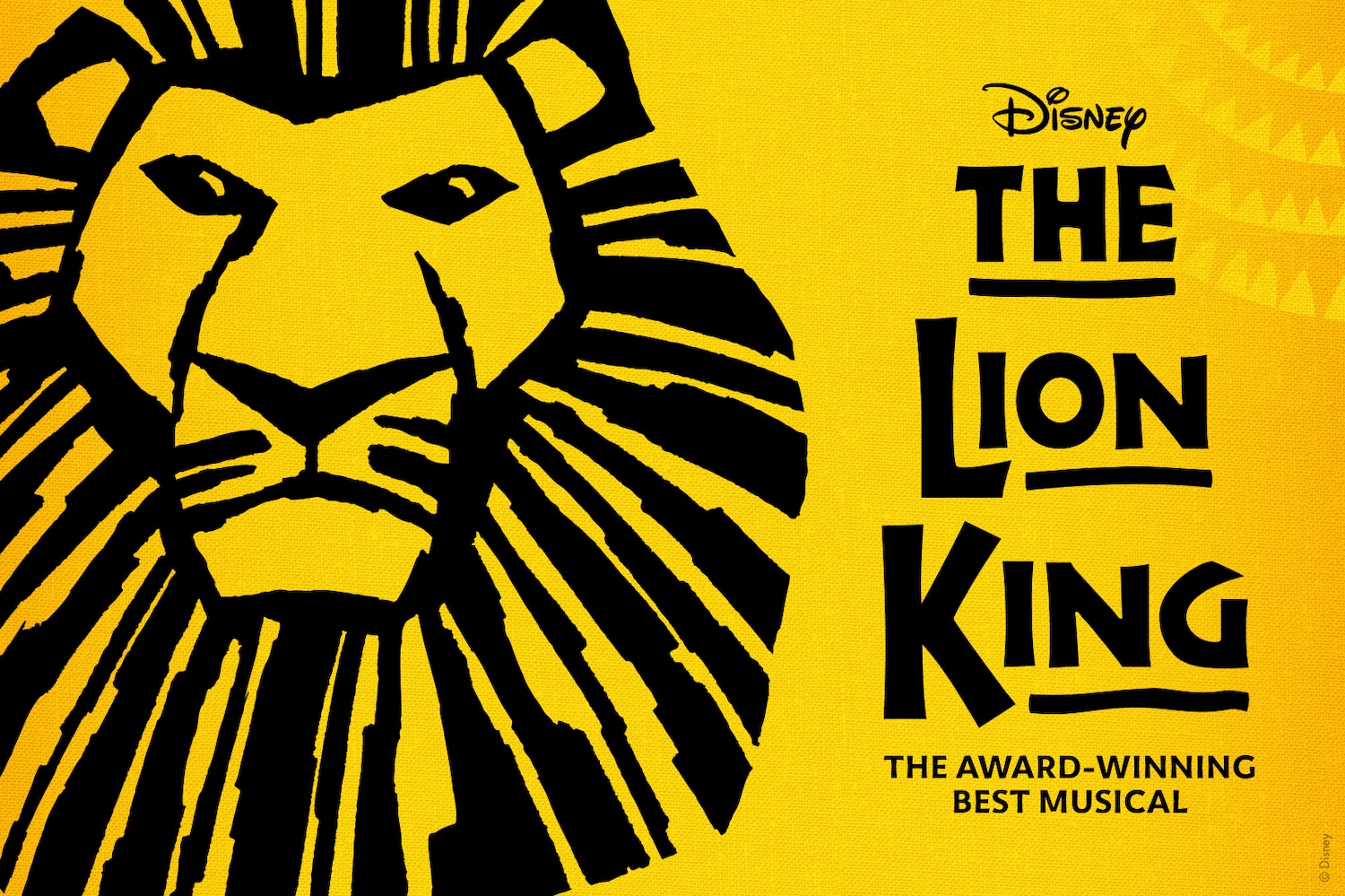 The Lion King Broadway Musical Ticket in New York