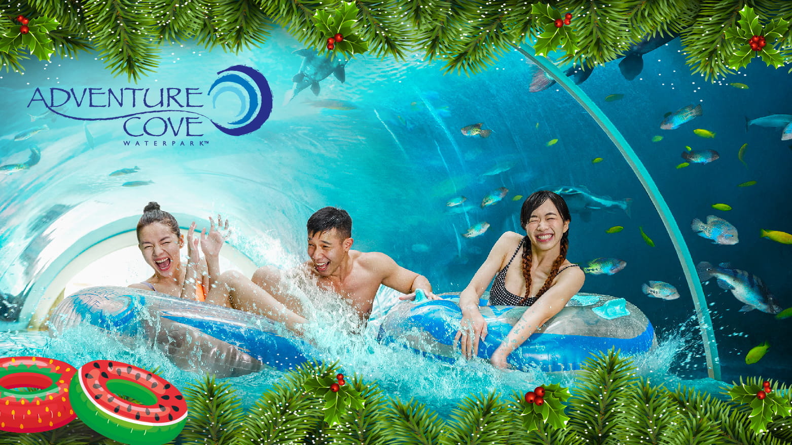 Adventure Cove Waterpark Ticket