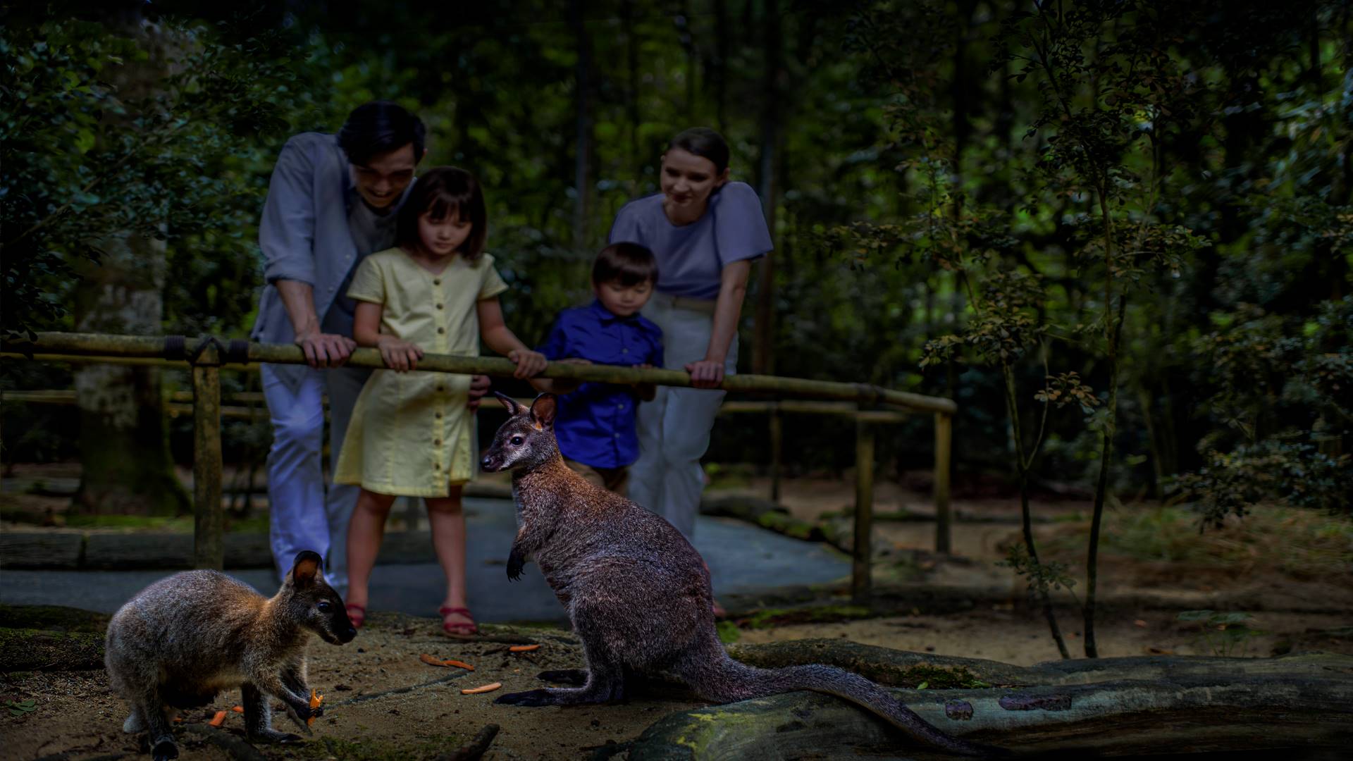 2-Park Destination Pass: Singapore Night Safari + Rainforest Wild Adventure Tickets
