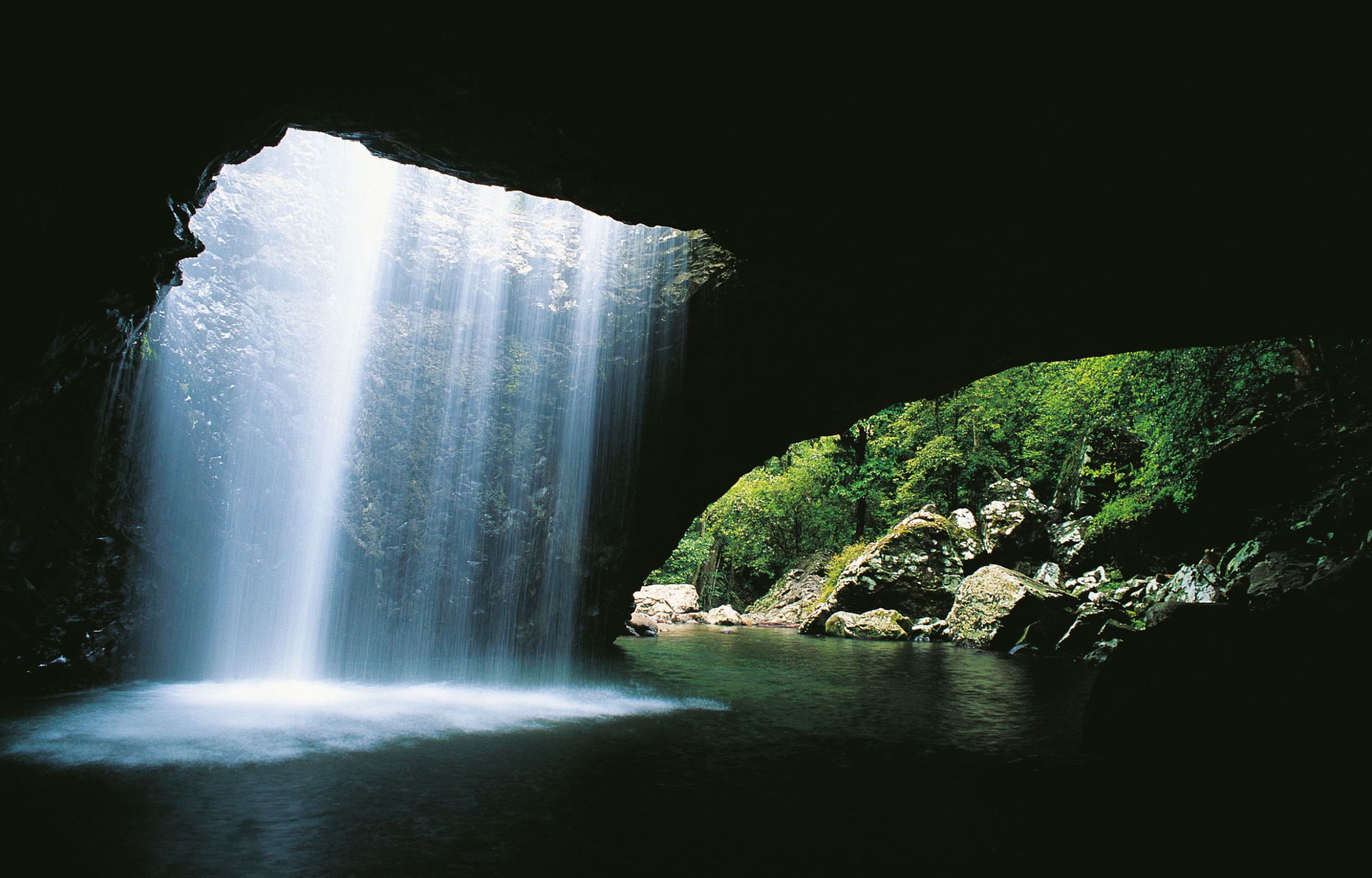 Gold Coast Full-Day Tour From Brisbane