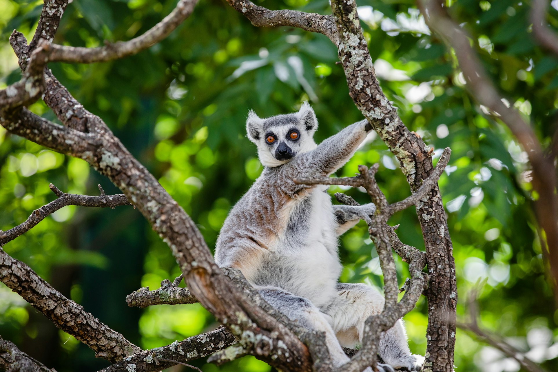 Faunia Nature Park Ticket