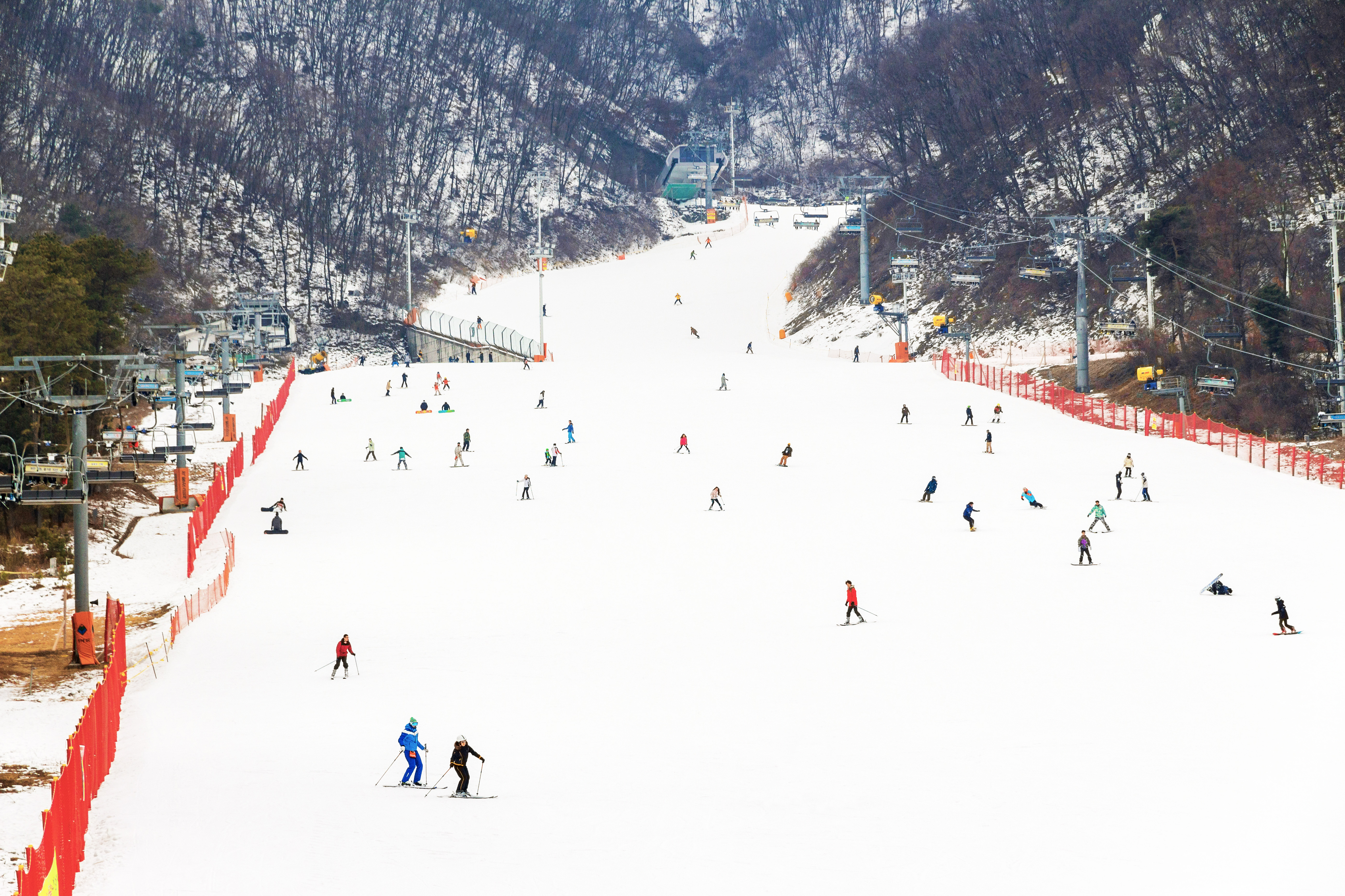 Jisan Forest Ski Resort Full-Day Tour from Seoul