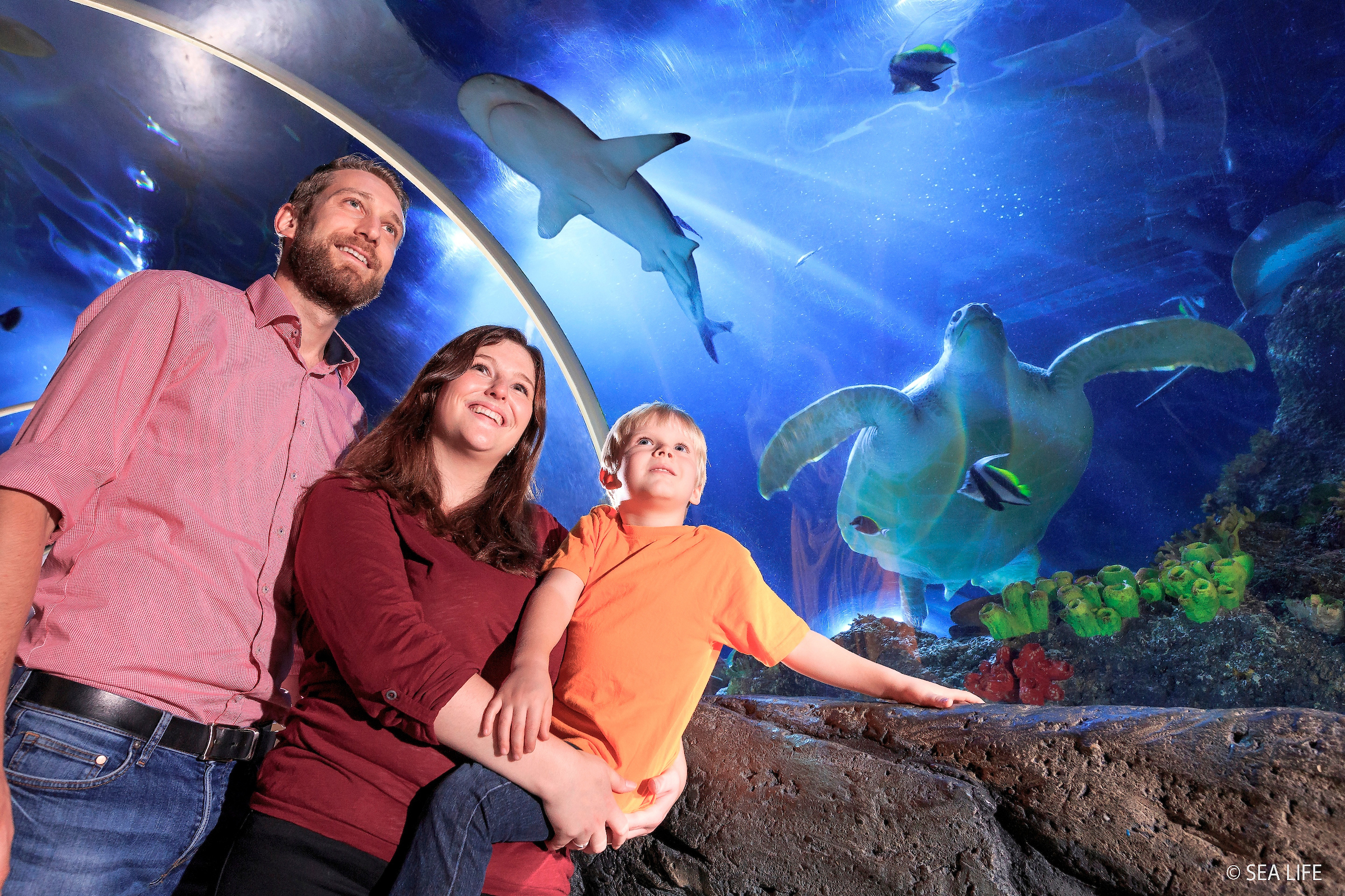 SEA LIFE Konstanz Aquarium
