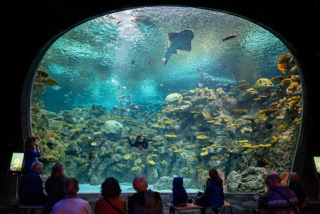 Seattle Aquarium