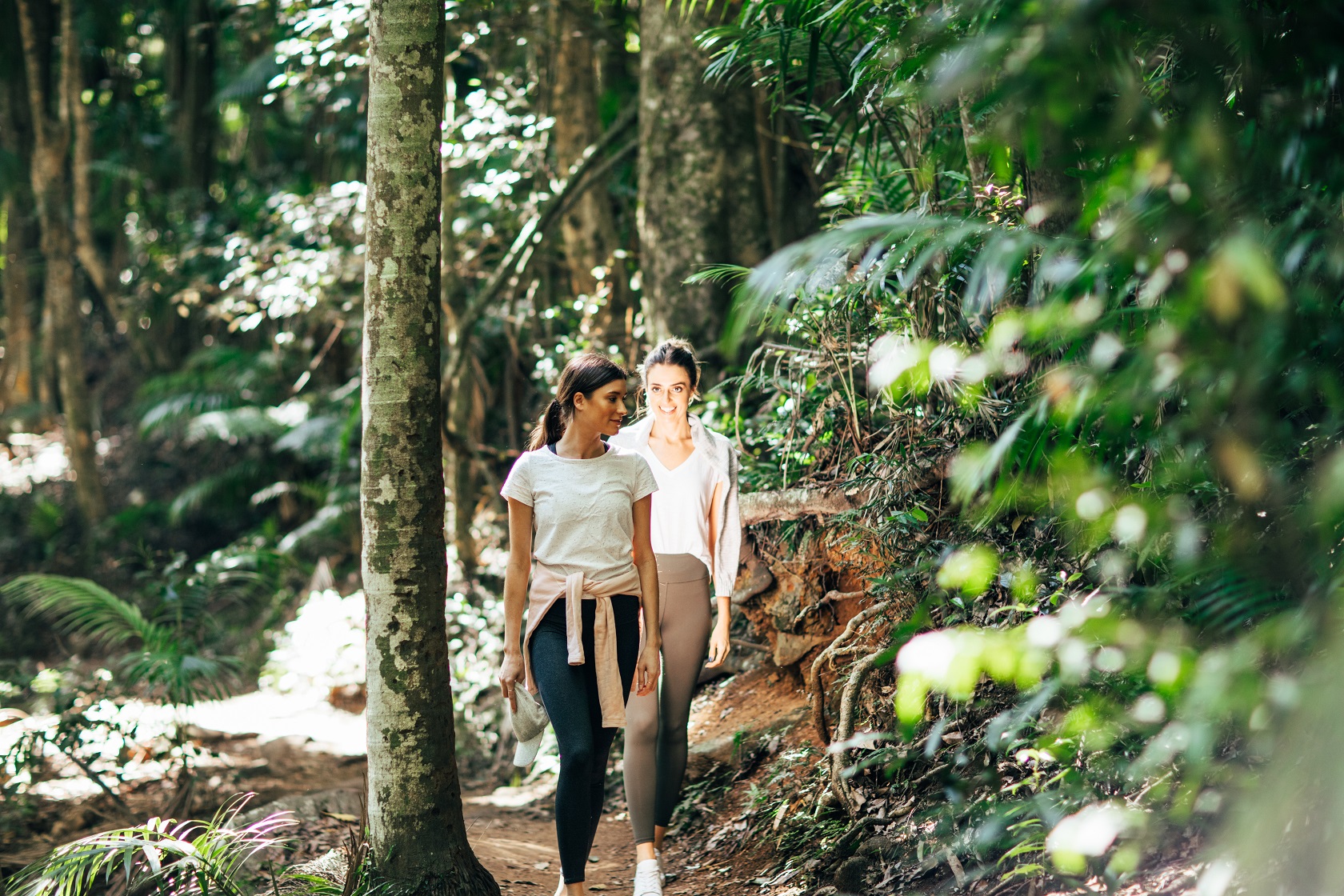 Tamborine Mountain Guided Walk and Wine Tasting Tour