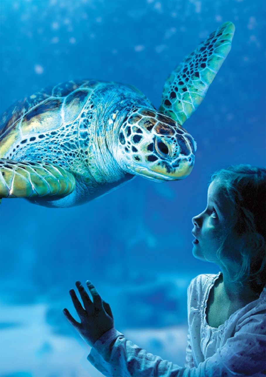SEA LIFE Benalmádena Ticket