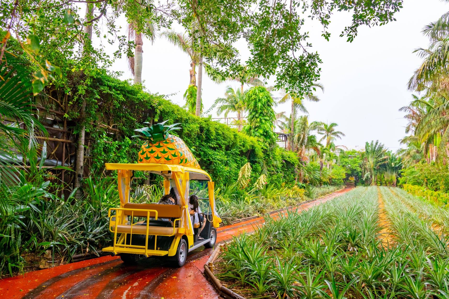 Okinawa Nago Pineapple Park