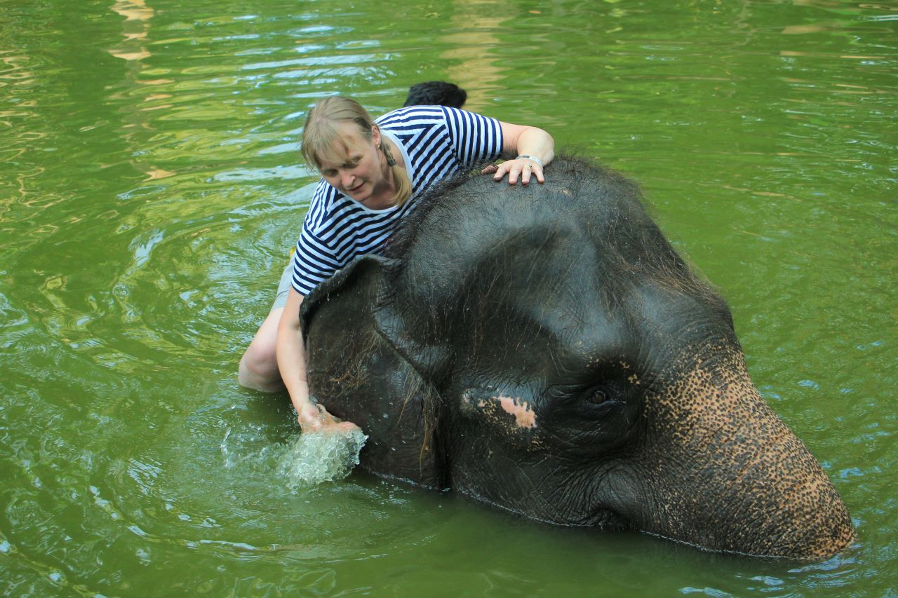 Lombok Wildlife Park Elephant Bath Experience