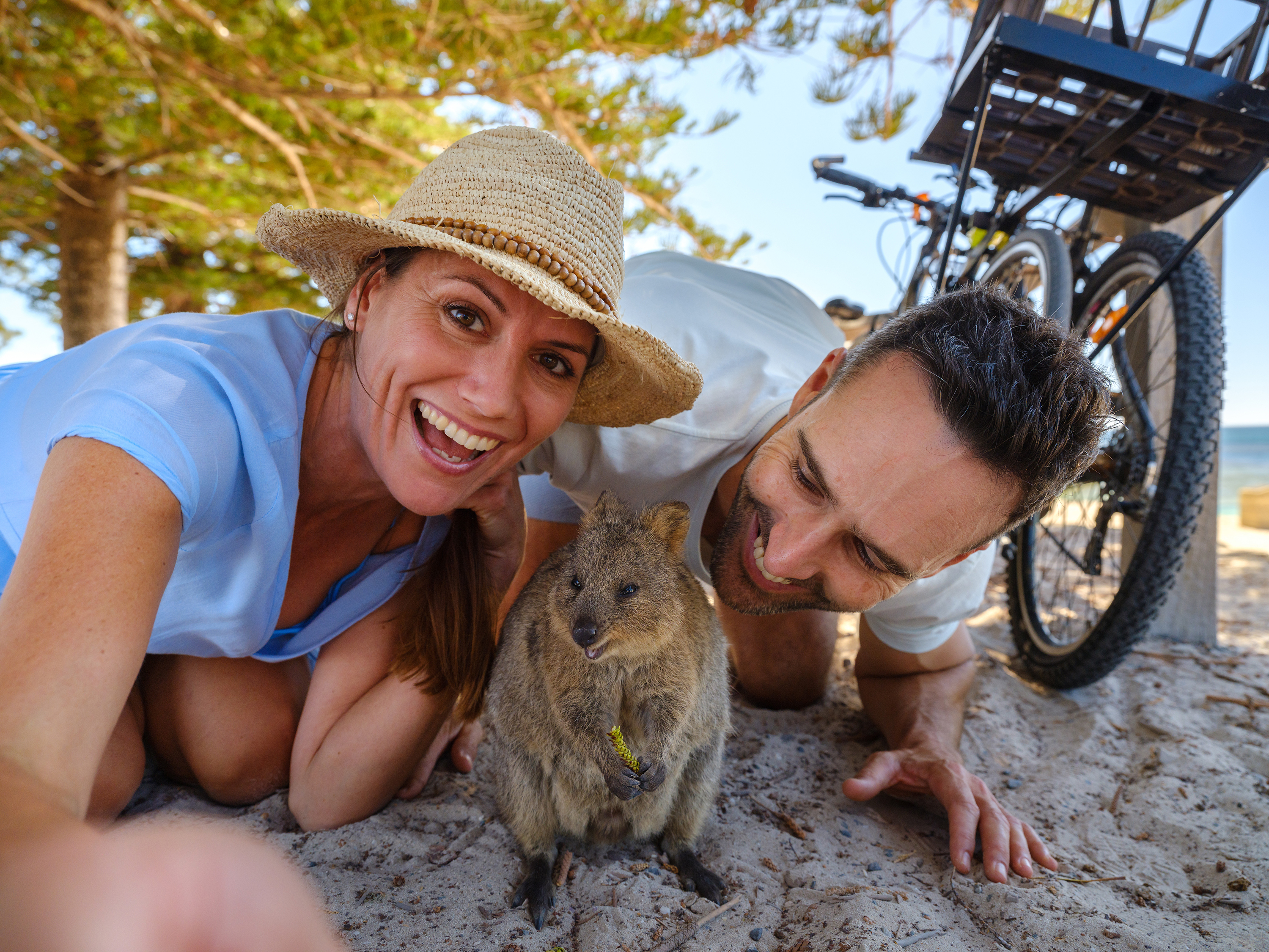 Round Trip SeaLink Ferry Transfer to Rottnest Island with Bike Hire