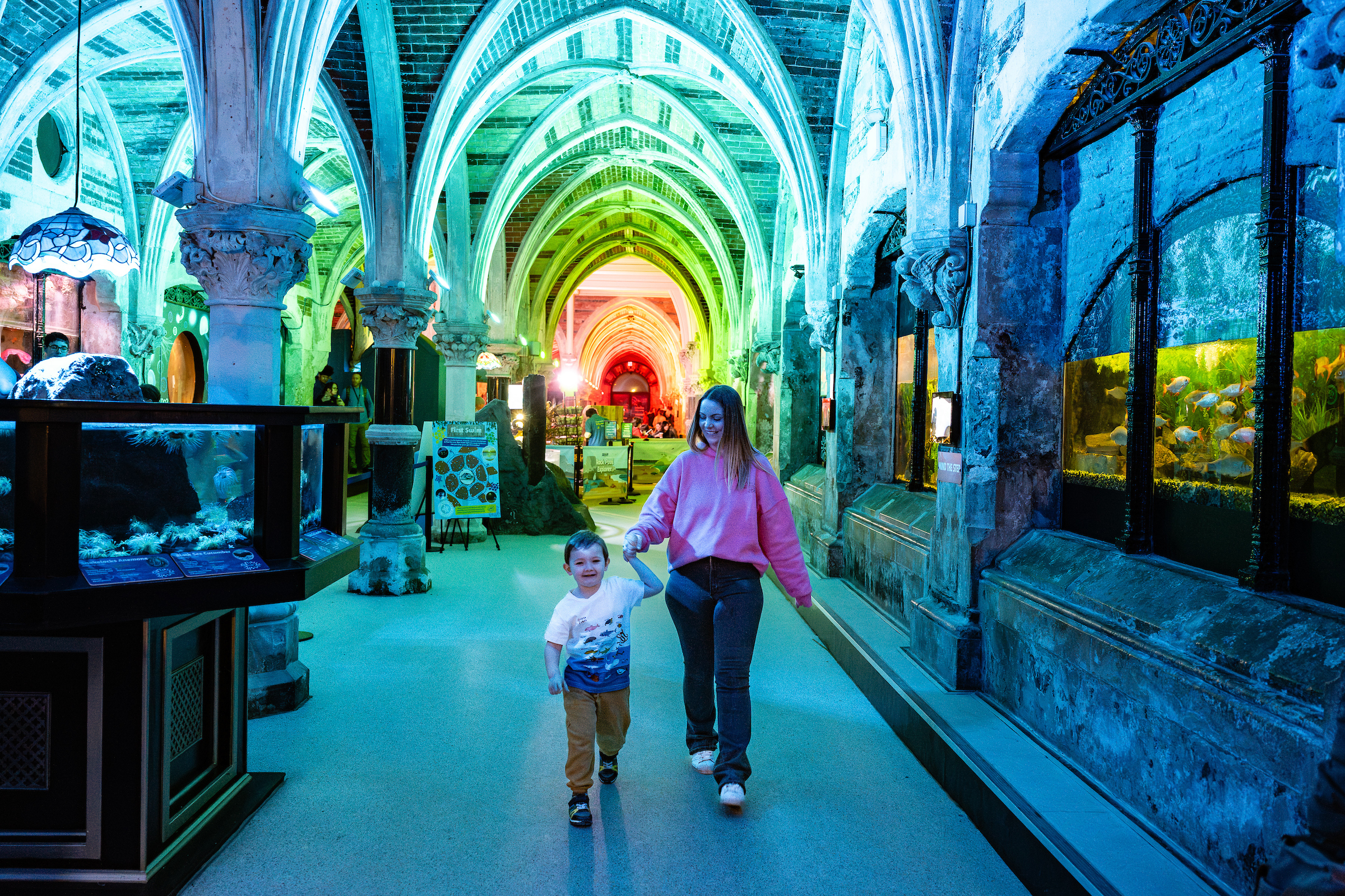 SEA LIFE Brighton Ticket