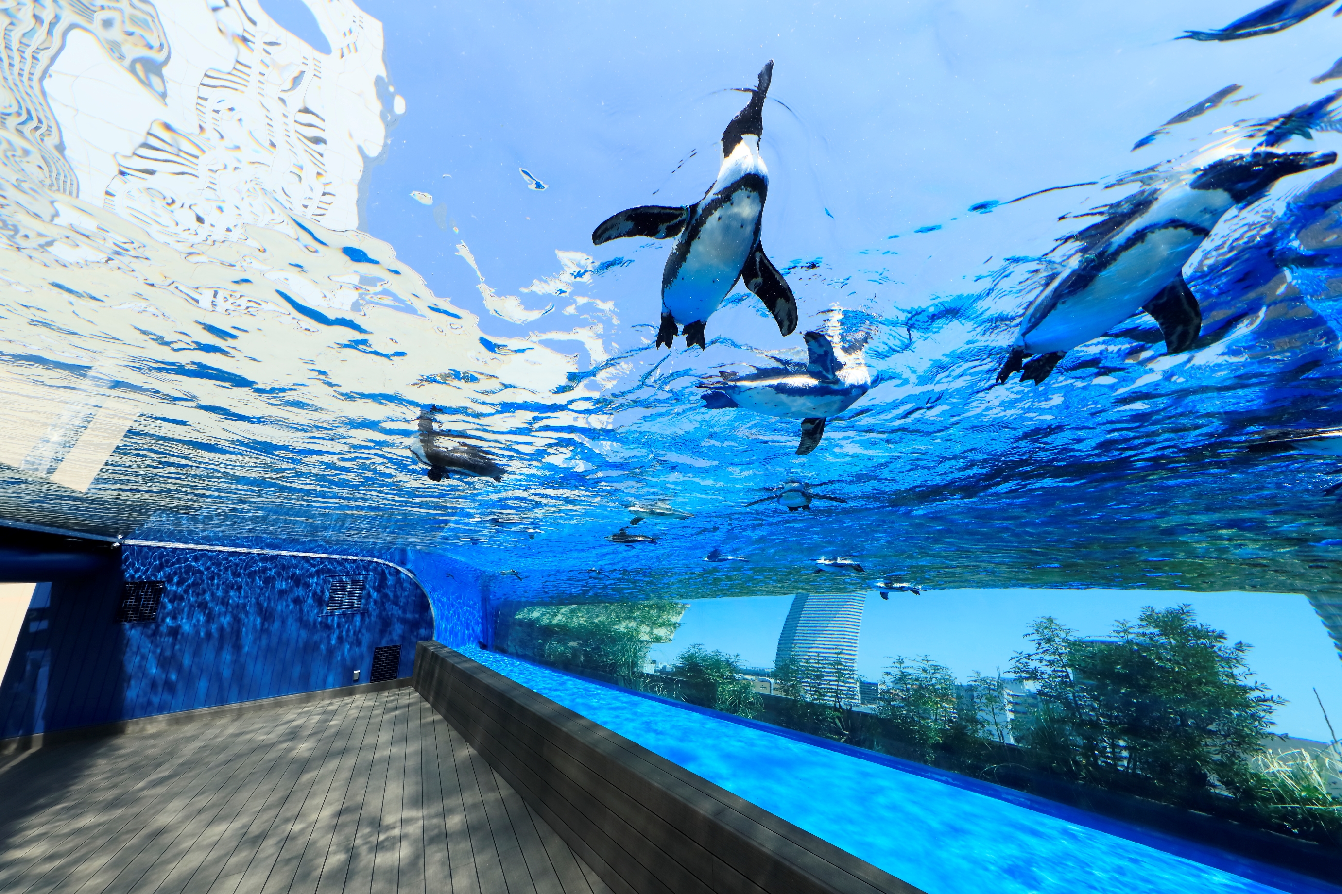 Tokyo Sunshine Aquarium