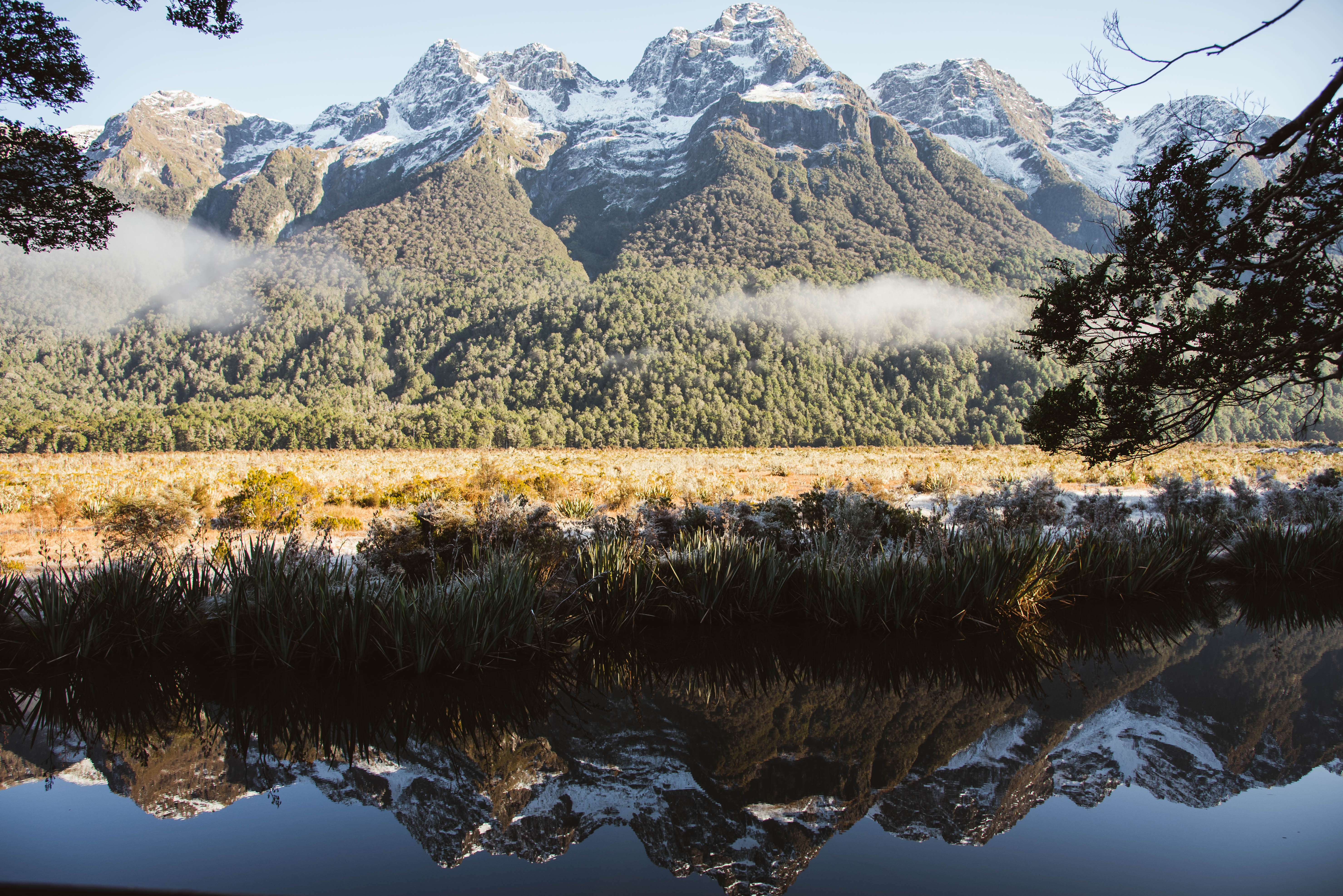 Milford Sound Coach and Cruise from Queenstown
