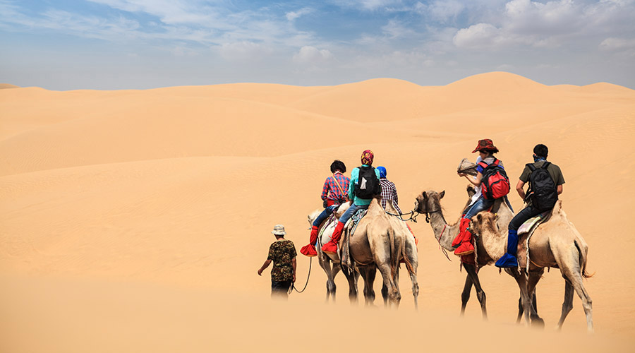 (두바이 출발) 오전 사막 사파리 투어 