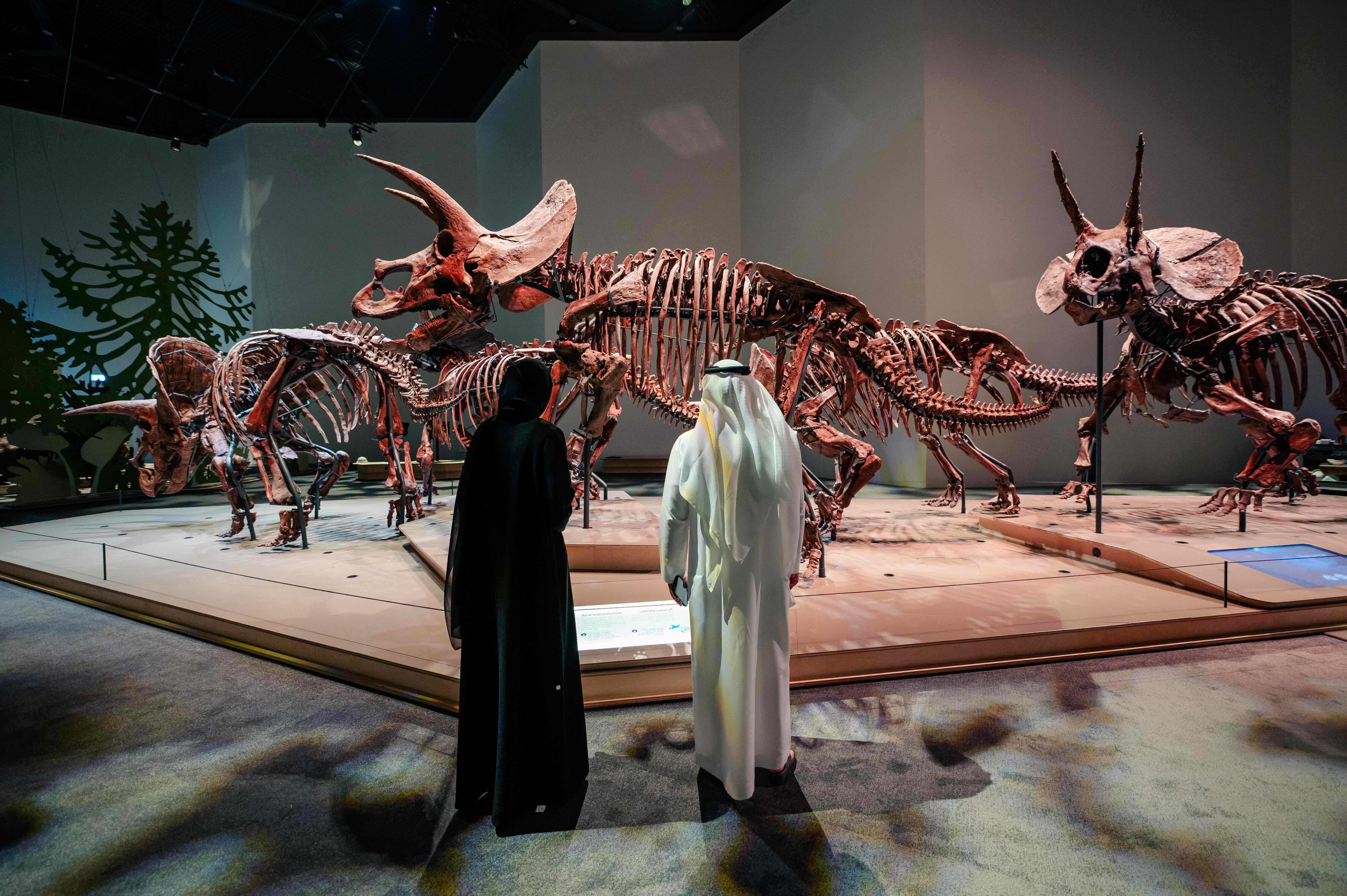 Natural History Museum Abu Dhabi Ticket
