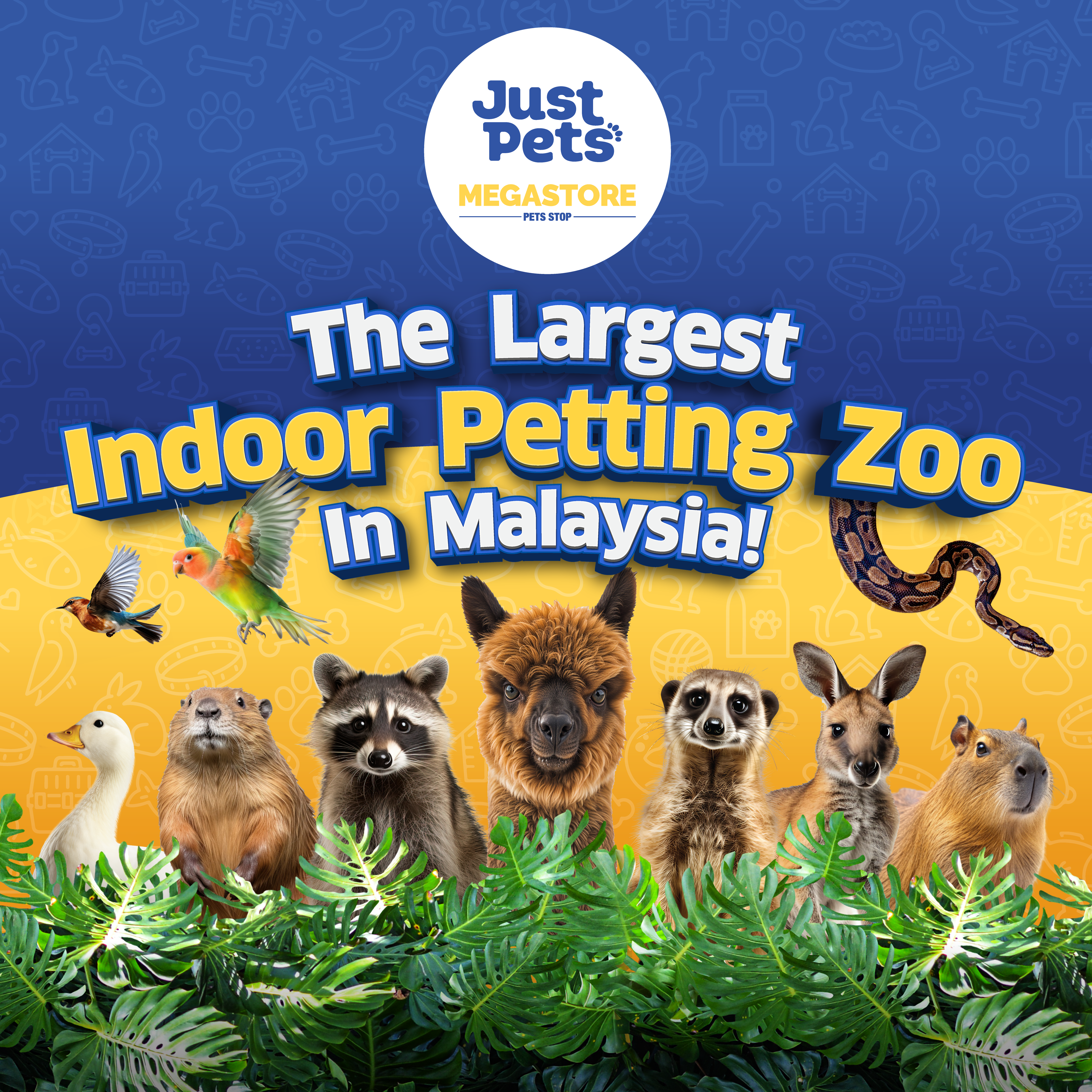Just Farm Indoor Zoo Kuala Lumpur  (Previously Known As Just Pets Megastore)