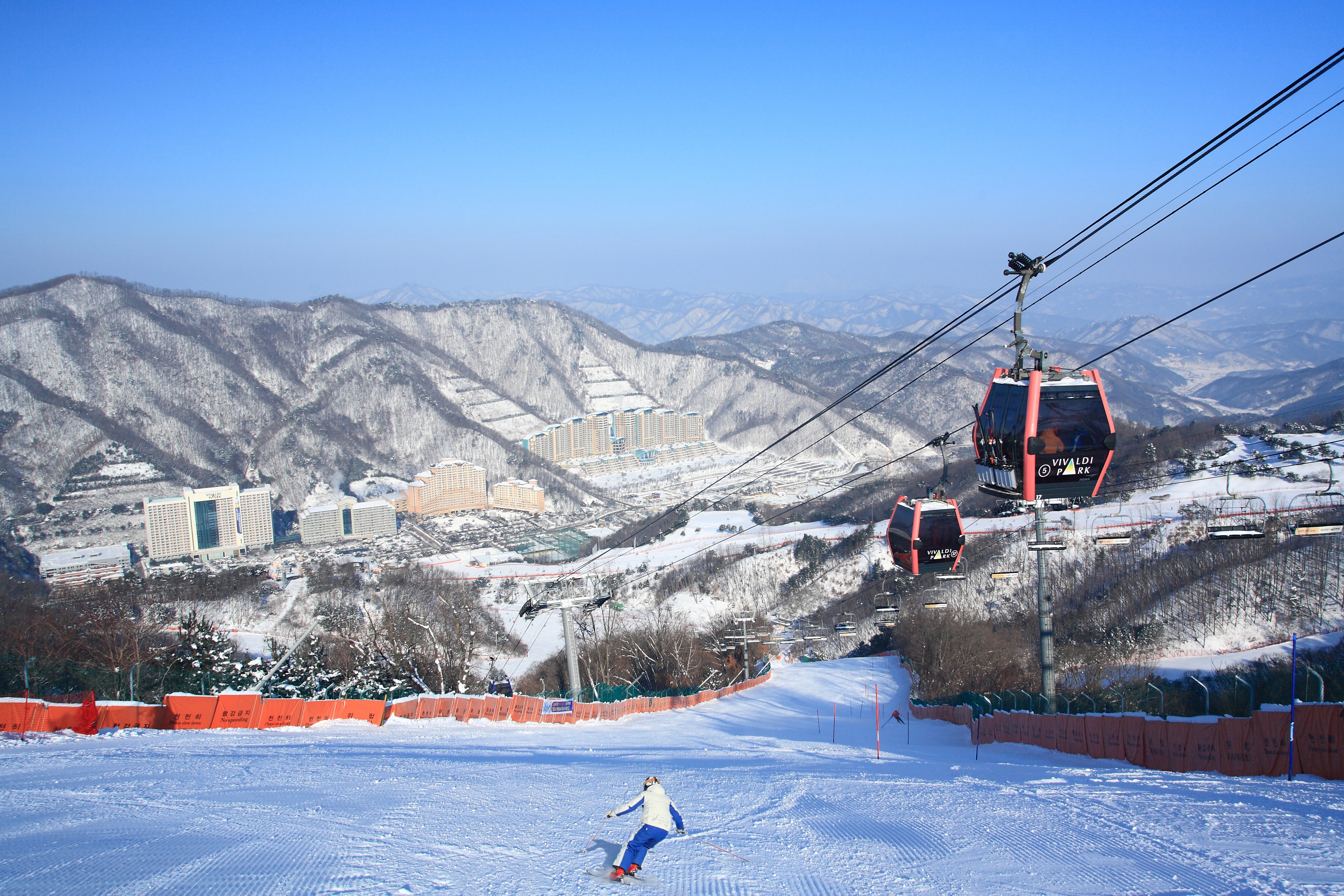 Vivaldi Park Ski World and Nami Island Full-Day Tour from Seoul