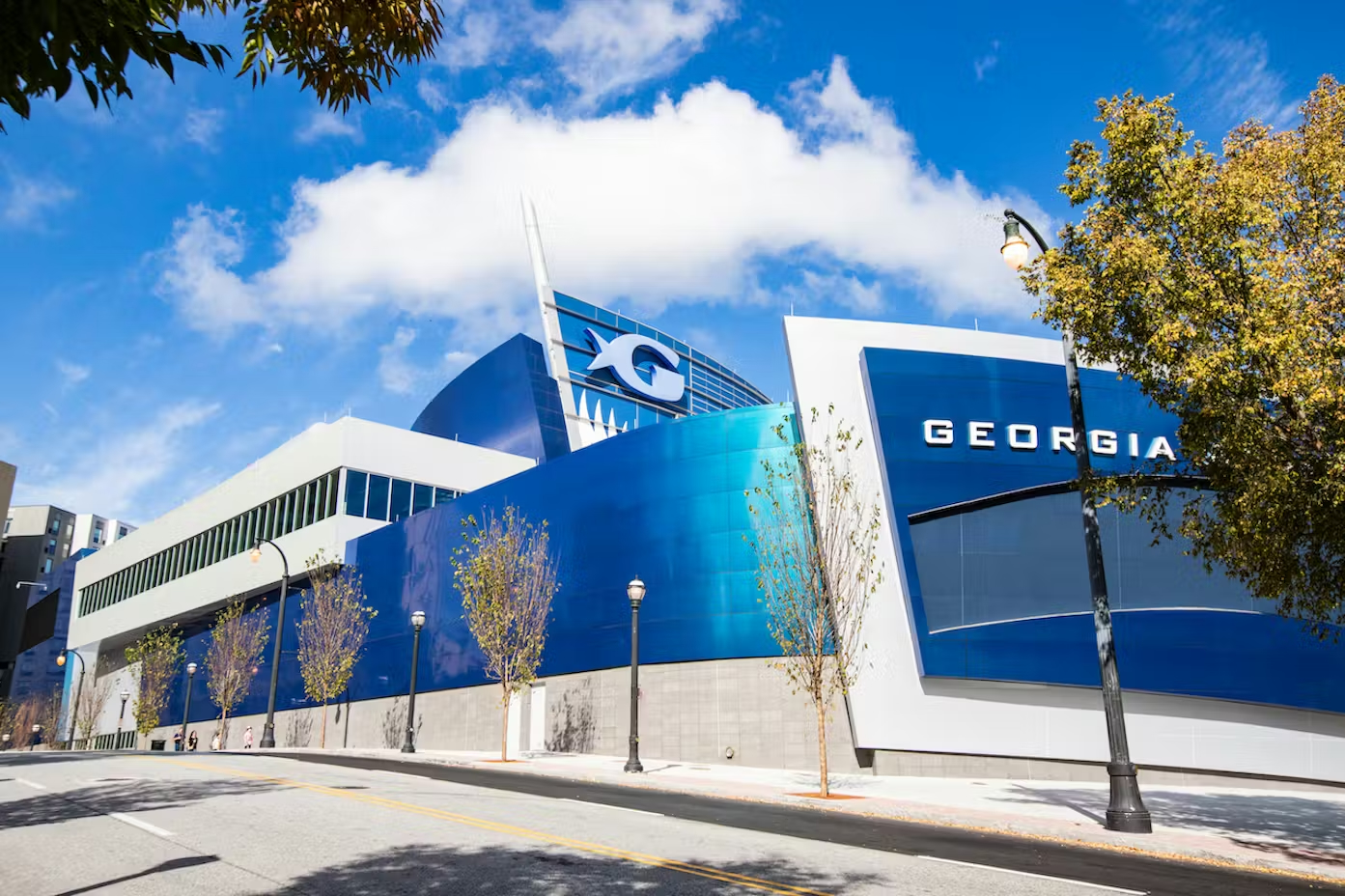 Georgia Aquarium: Fast Track Ticket