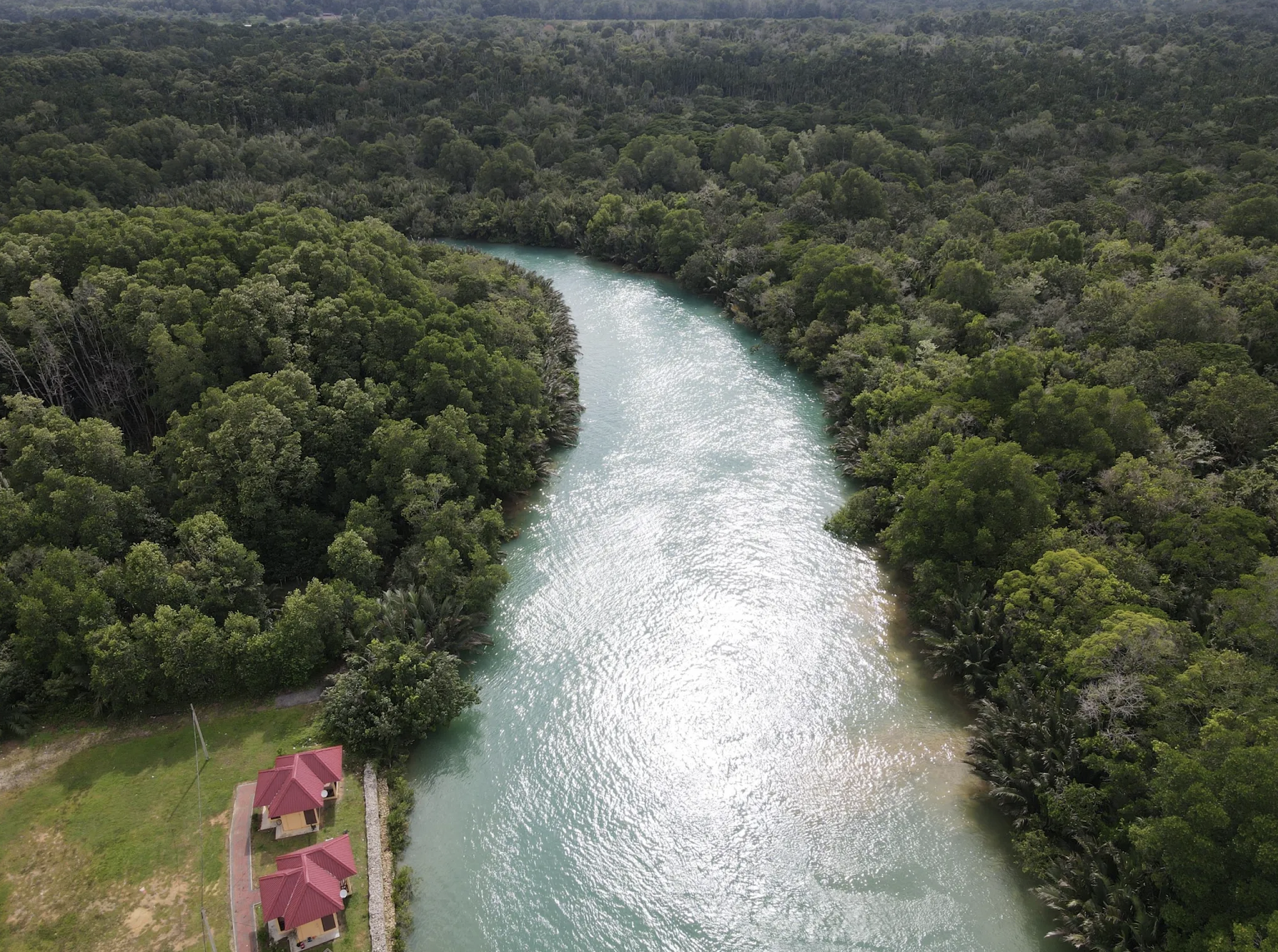 Lebam River Kayaking Adventure