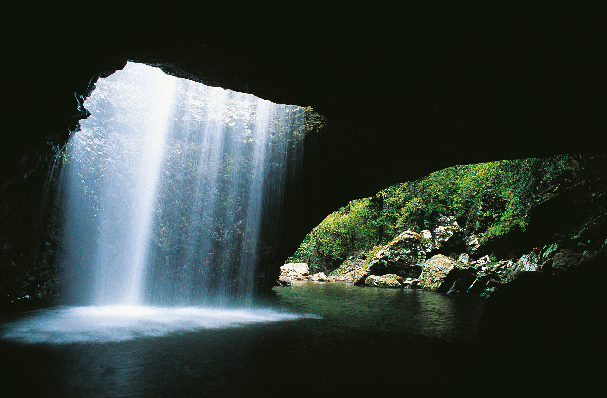 Springbrook National Park Tour: Natural Bridge and Waterfalls