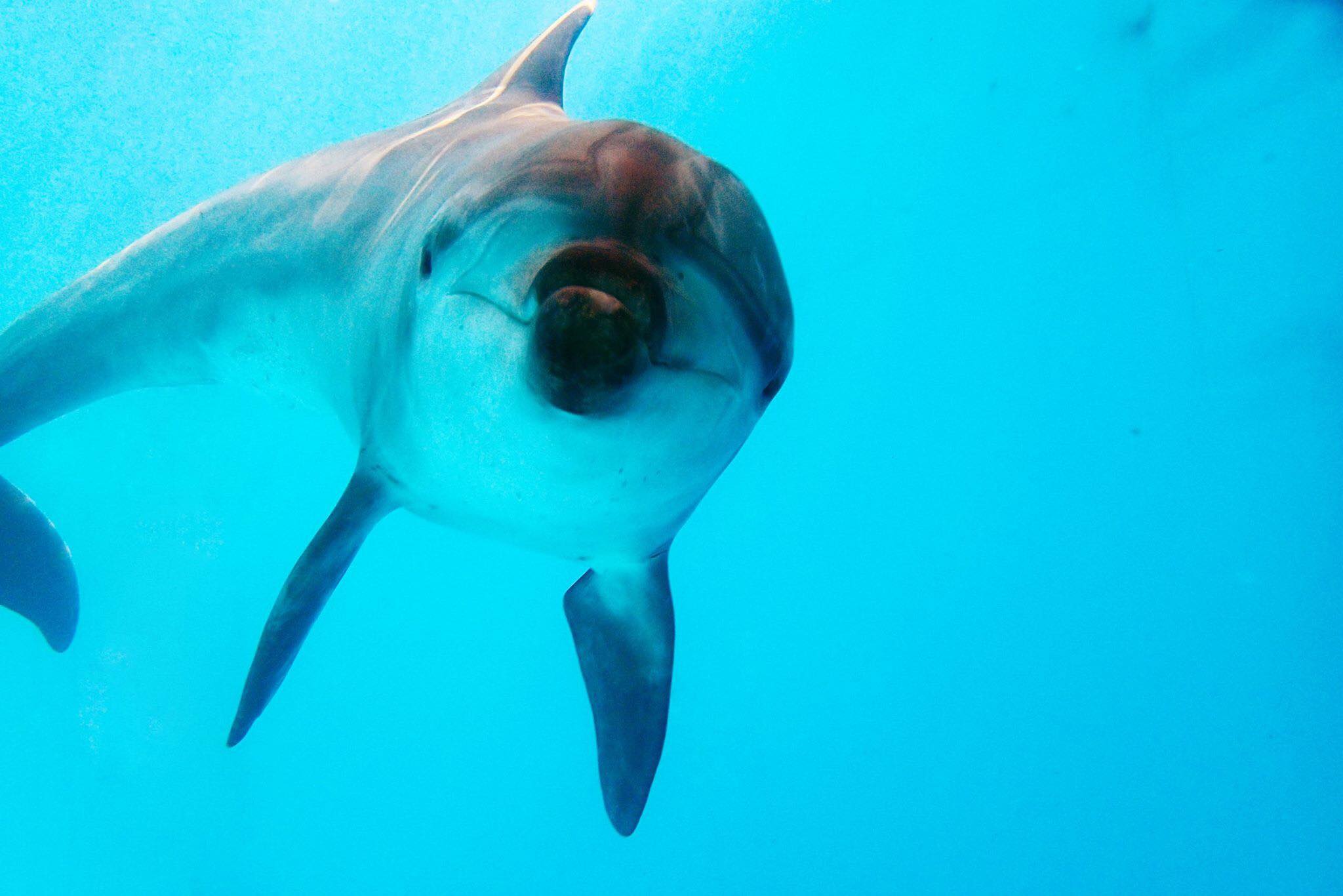Yehliu Ocean World