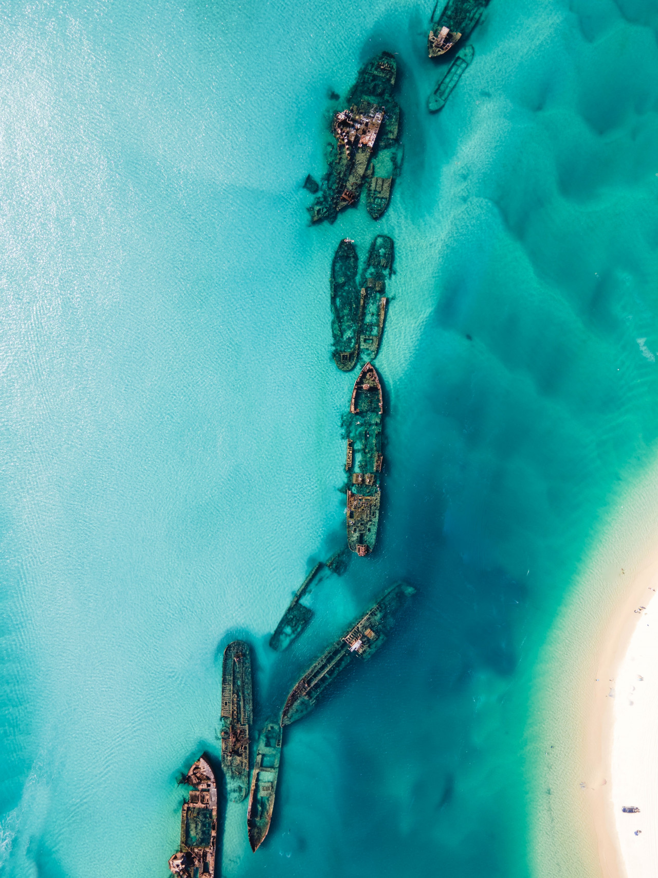 Moreton Island 4WD Tour