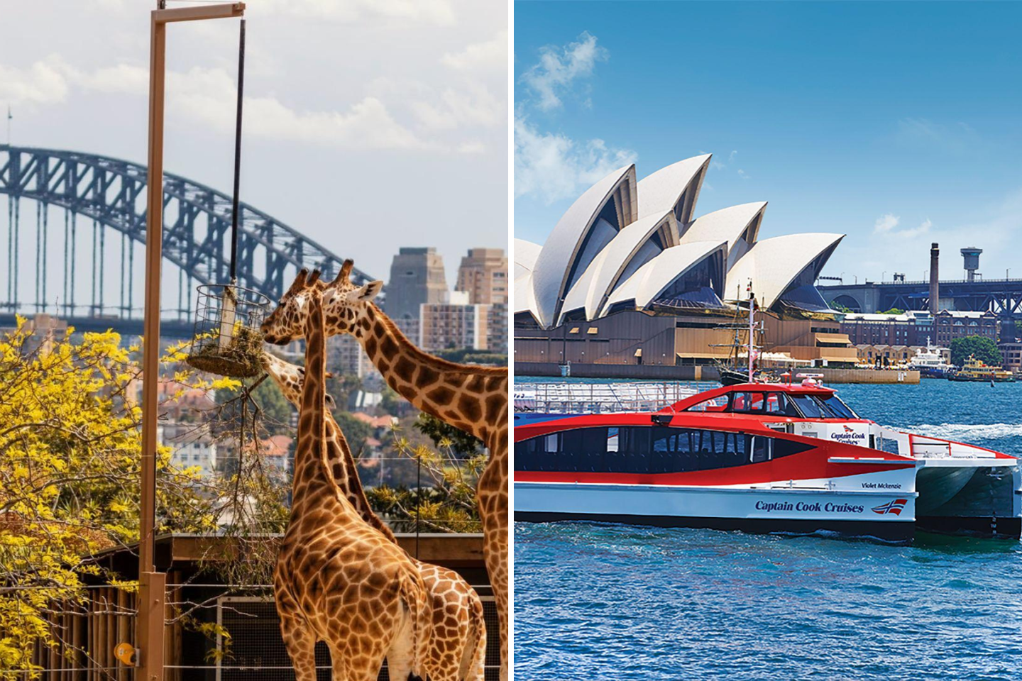 Taronga Zoo Ticket with Optional Round Trip Ferry