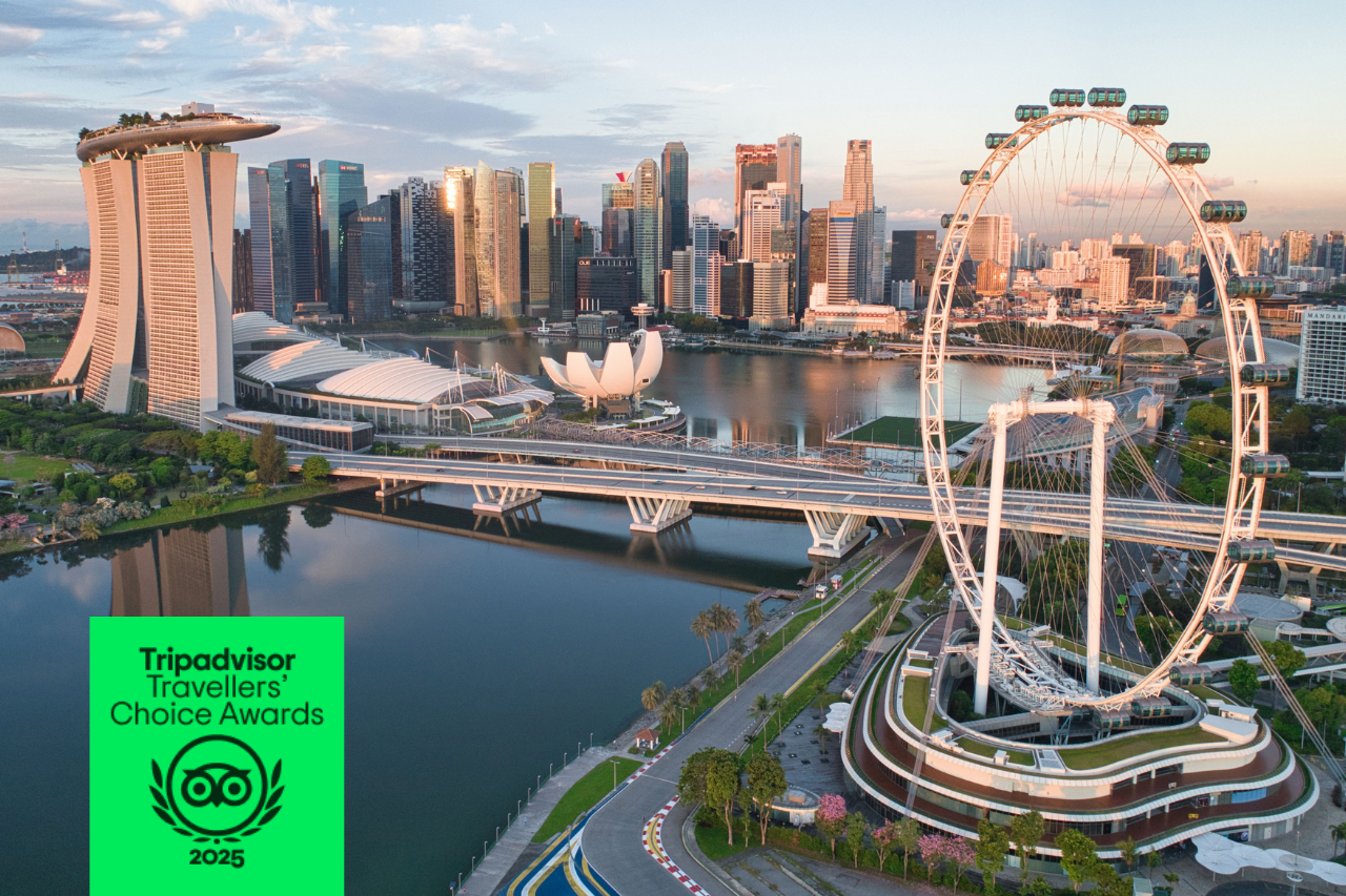 Singapore Flyer Ticket
