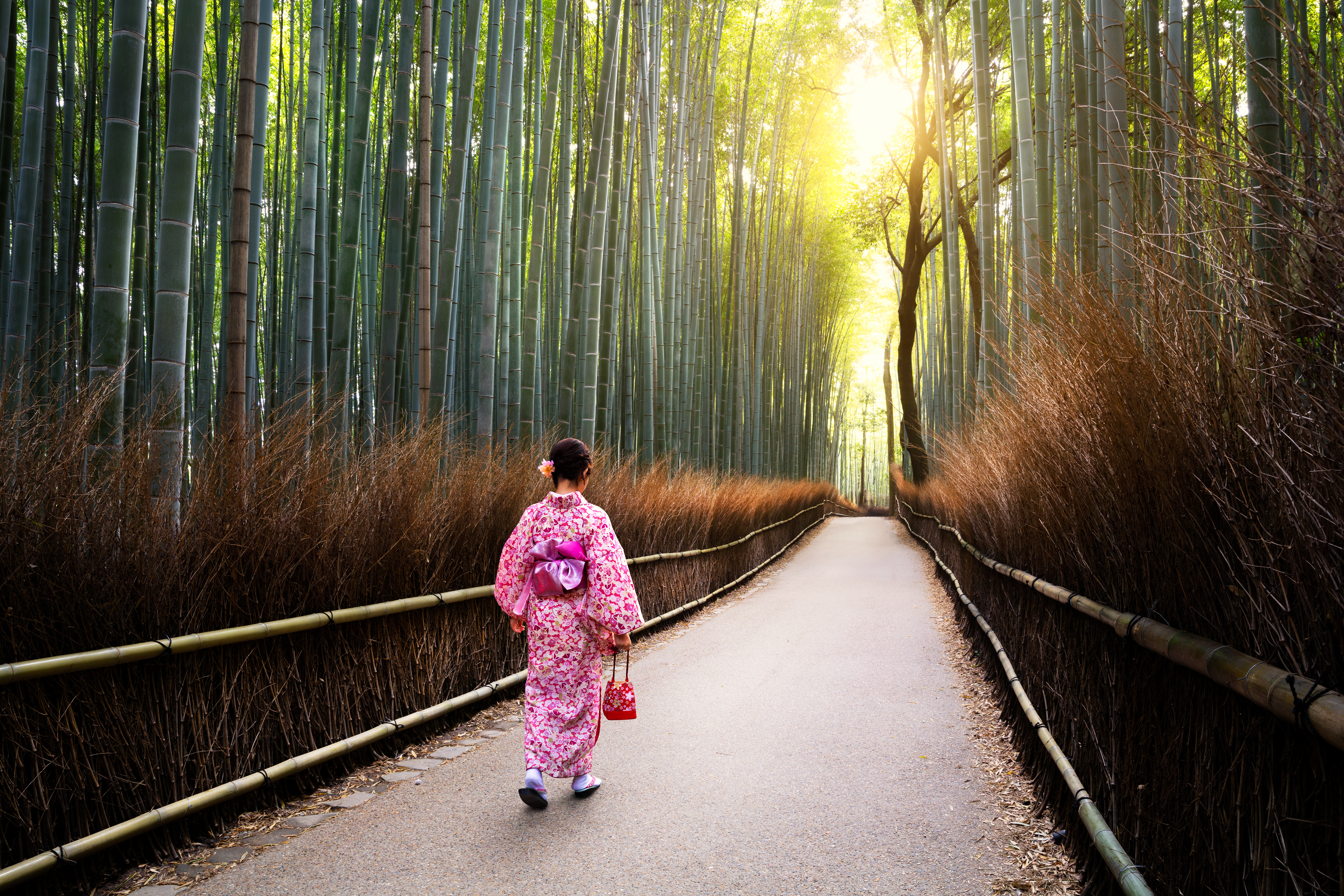 Professional Photo Shoot in Kyoto