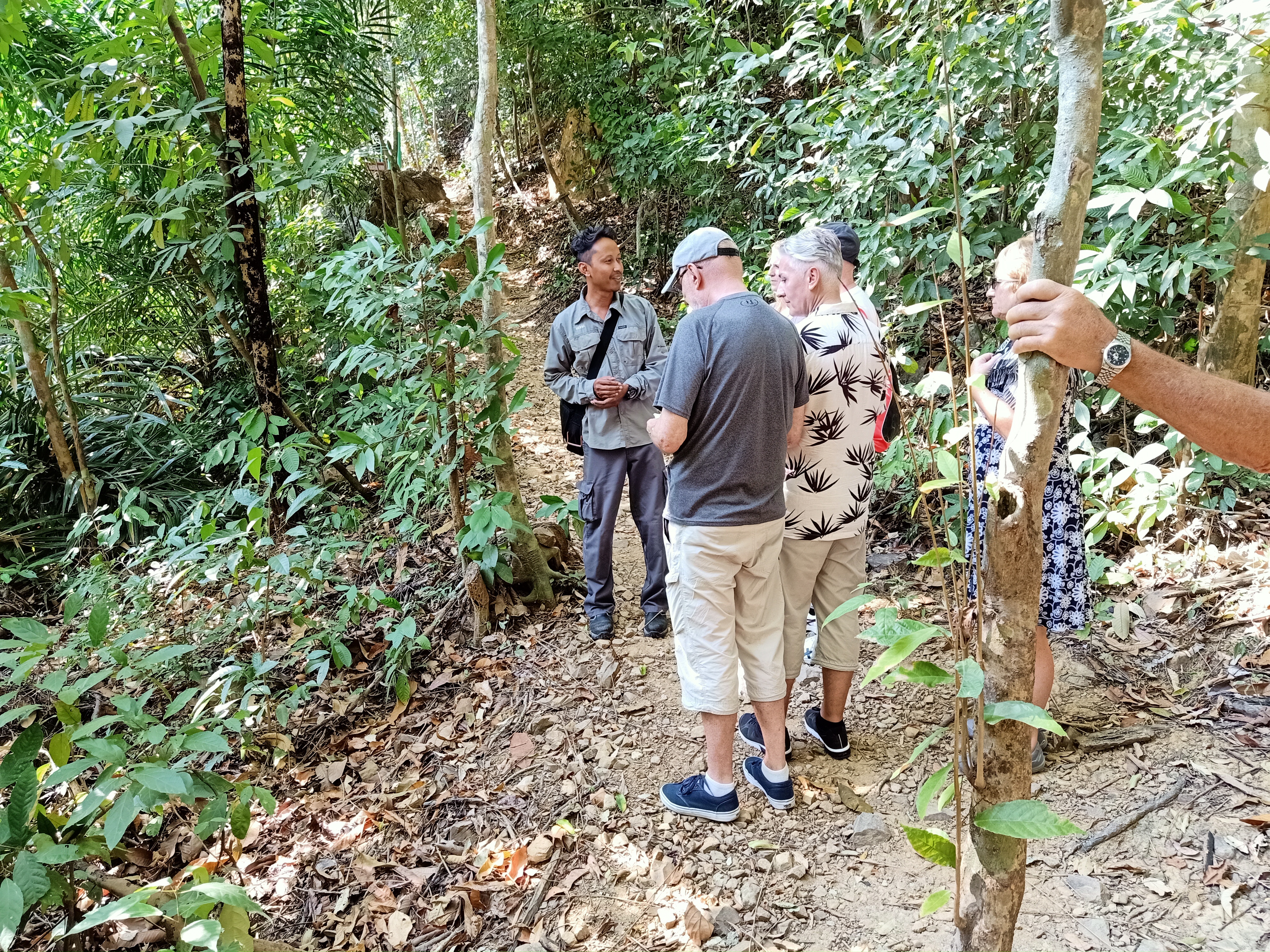 Langkawi Morning Rainforest Walking Tour