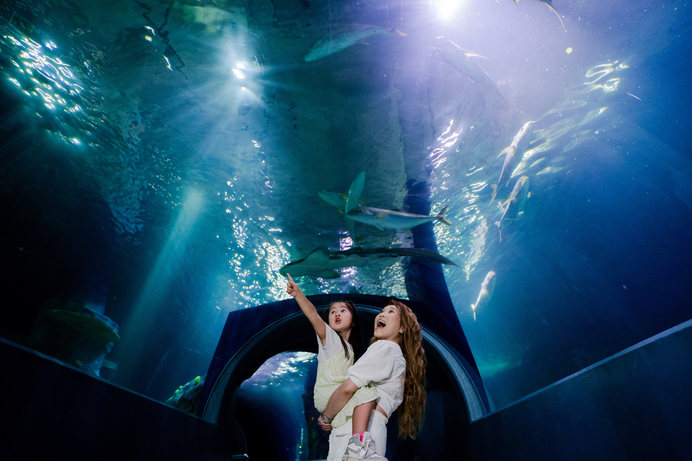 SEA LIFE Melbourne Aquarium Direct Entry Ticket