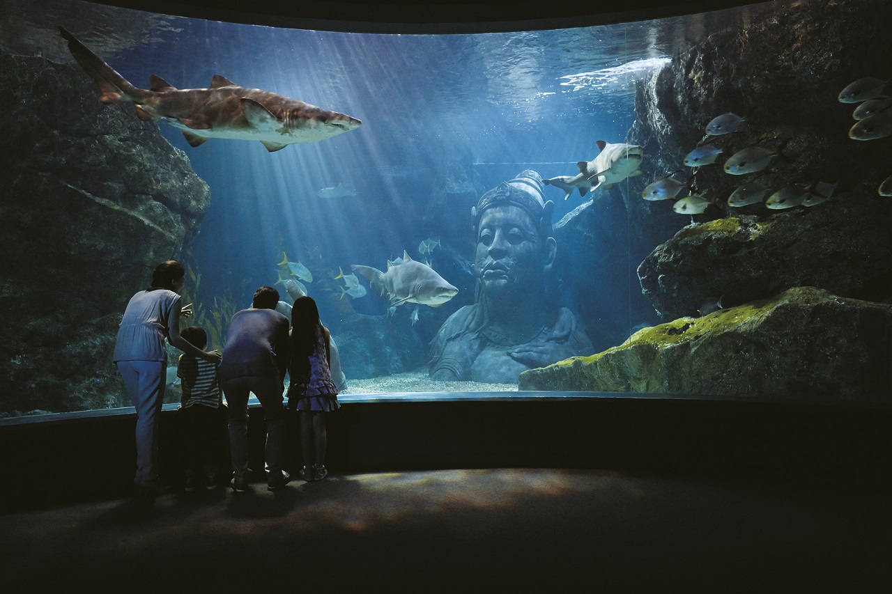 SEA LIFE Bangkok Ocean World Ticket
