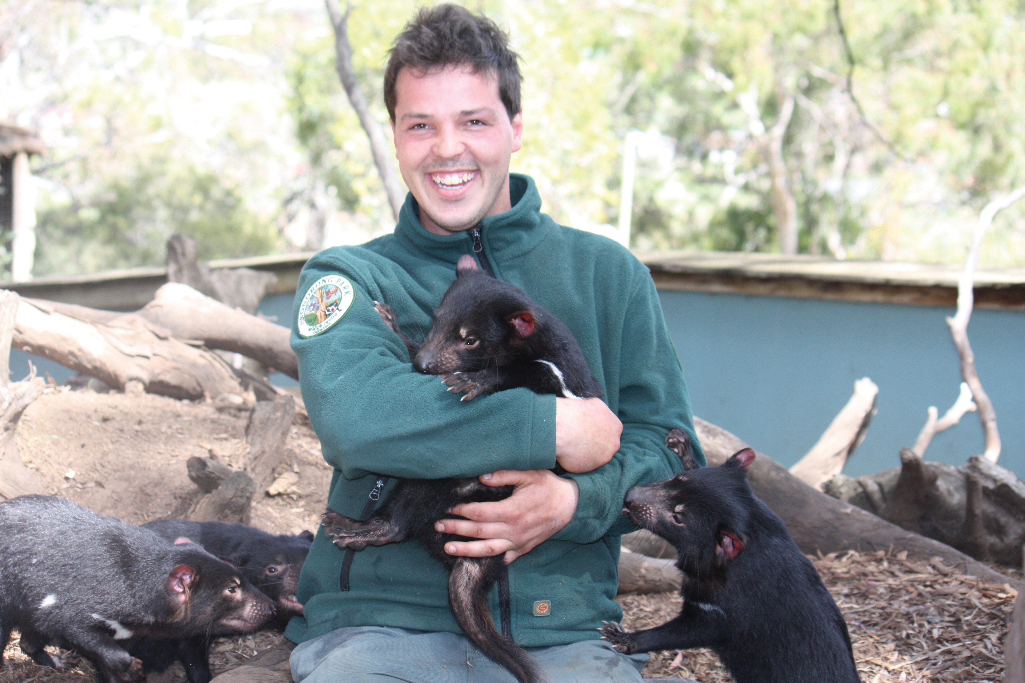 Bonorong Wildlife Sanctuary and Hobart City Tour